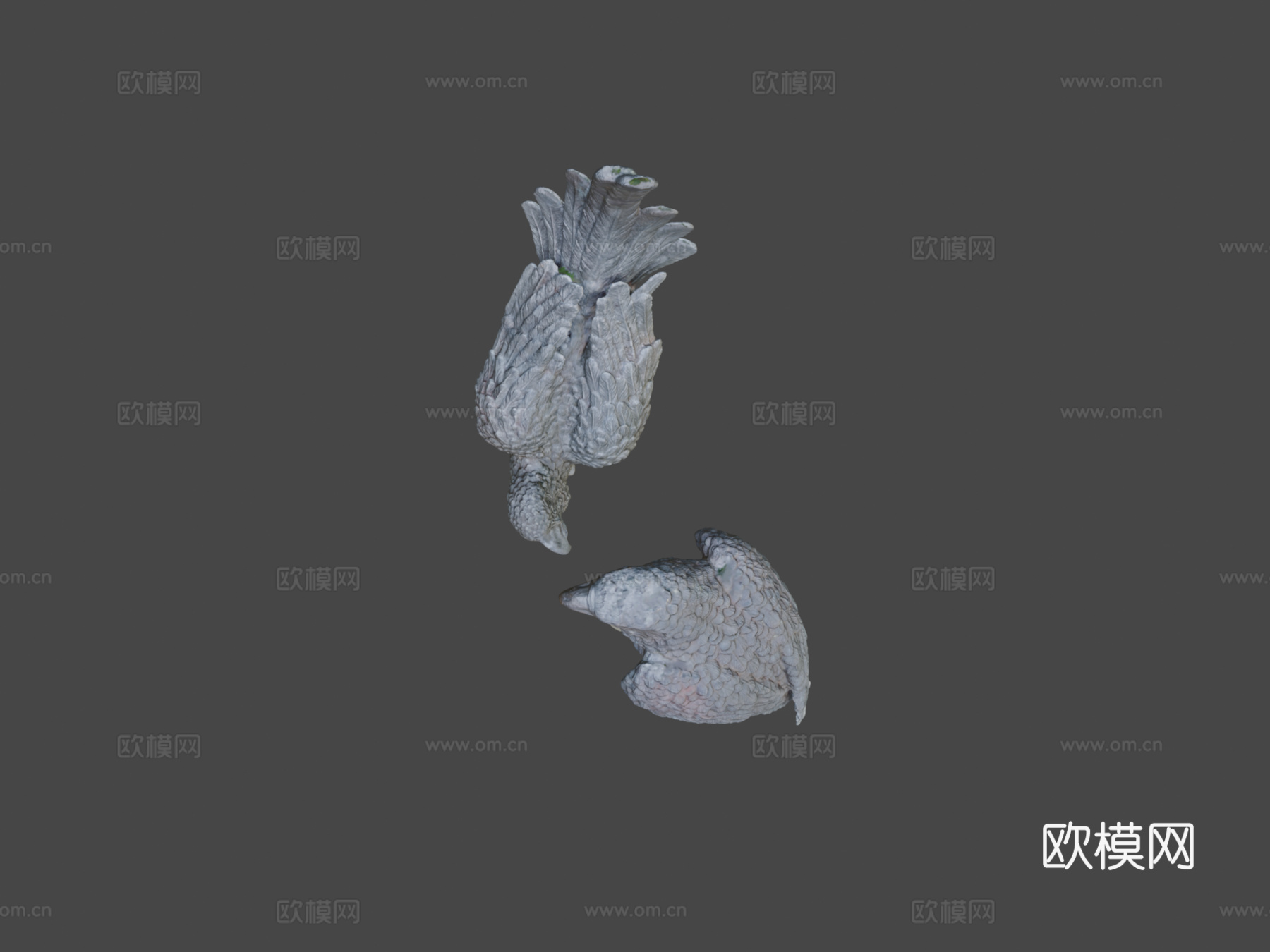 鹦鹉雕像3d模型