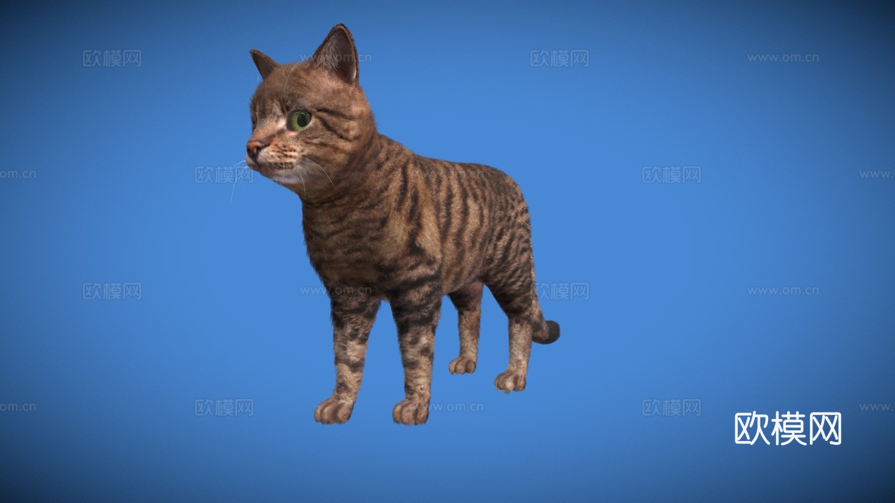 写实猫愿望实时毛发3d模型