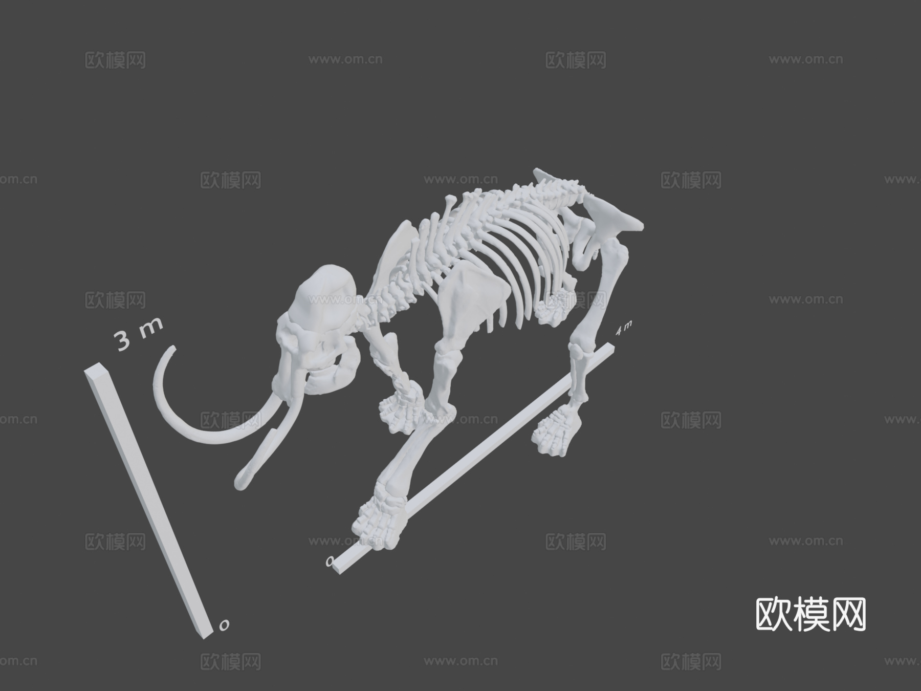 阿克斯猛犸象3d模型3d模型