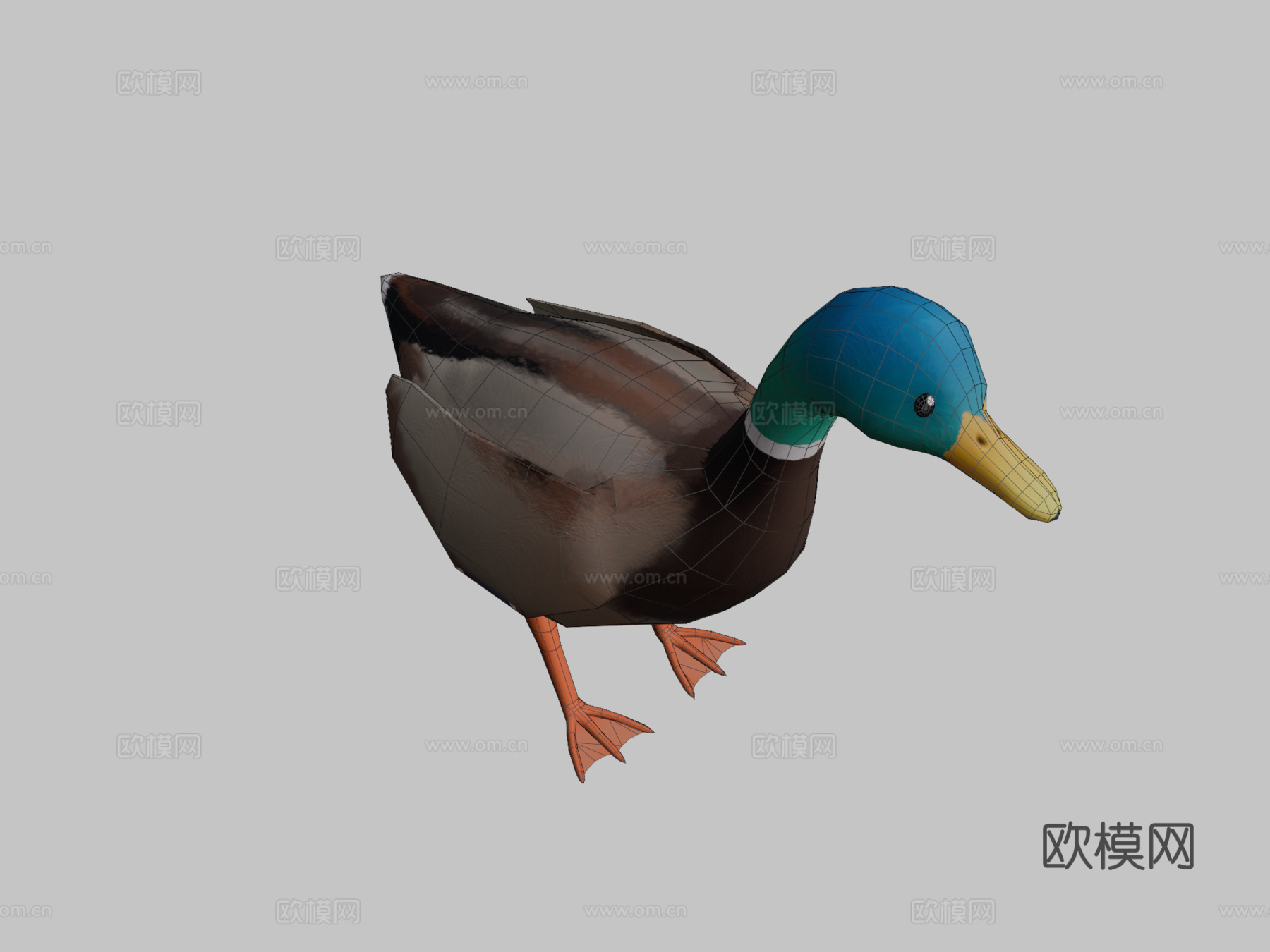绿头鸭3d模型