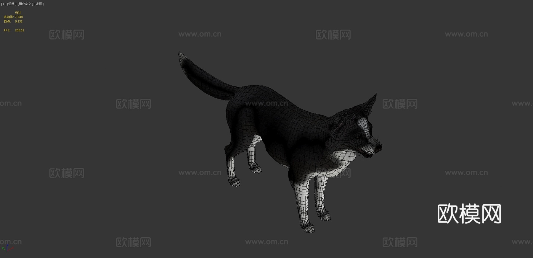 狗 - 边境牧羊犬v023d模型