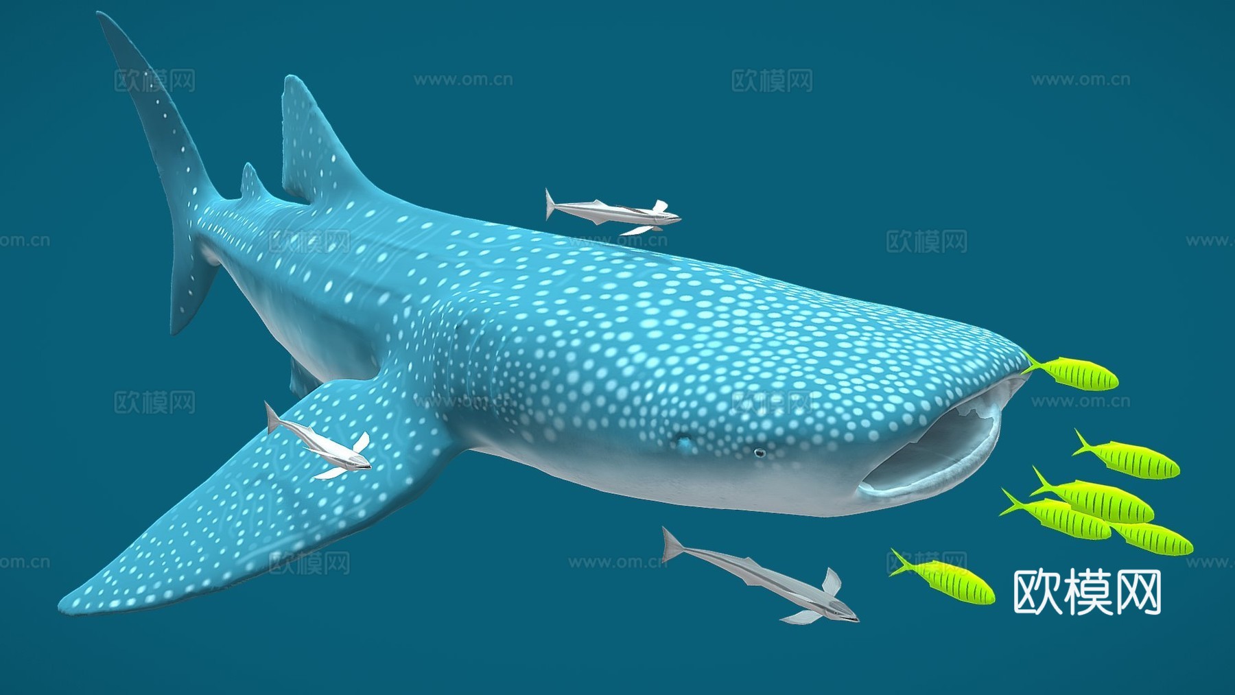 鲸鲨-首个动画3d模型