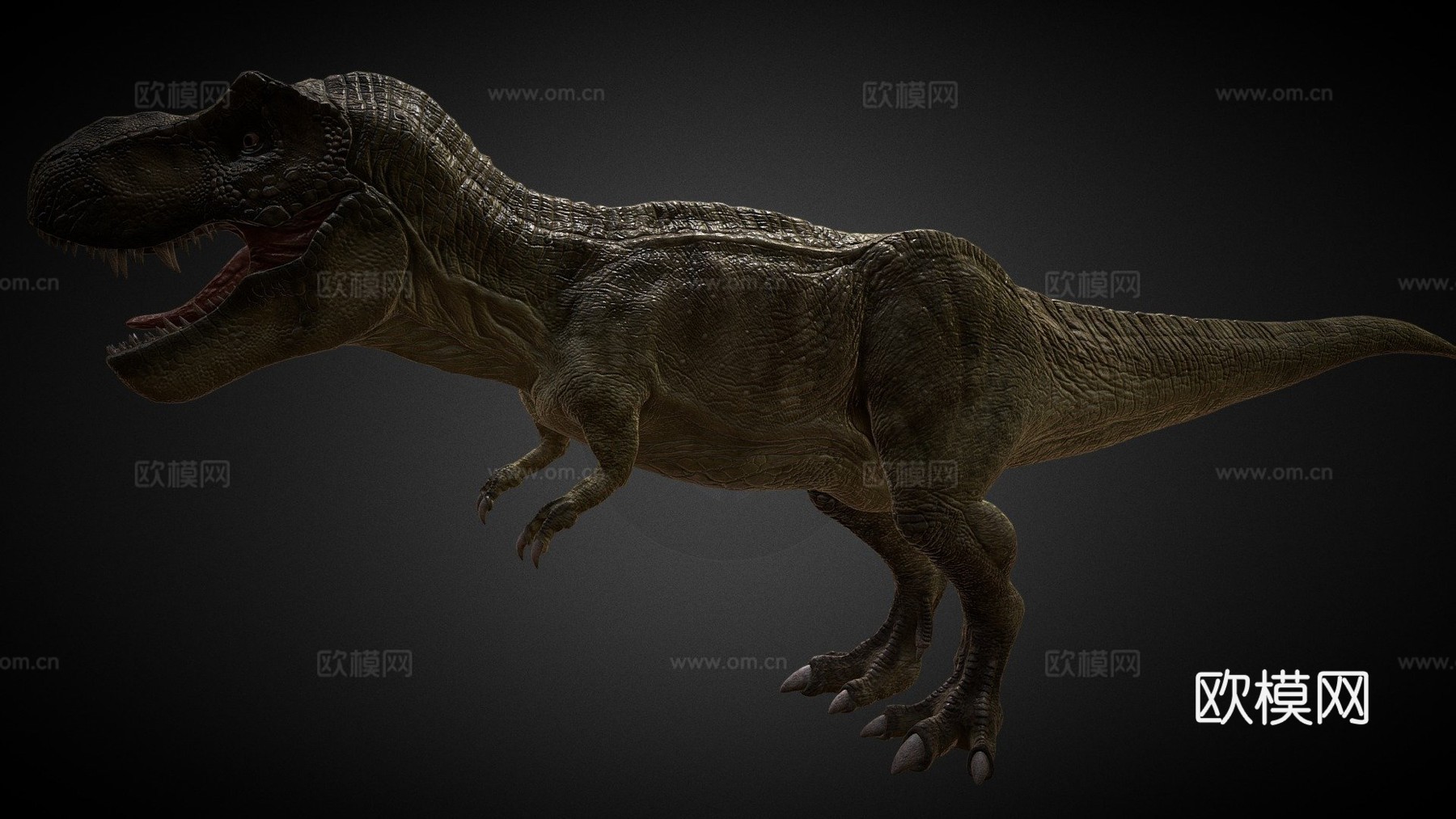 暴龙3d模型