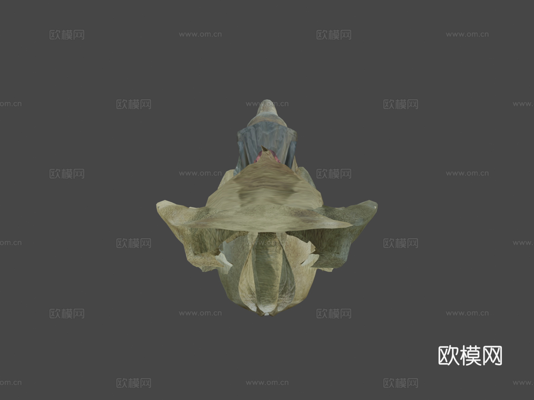 漂浮幻想岛上的动画犀牛循环3d模型