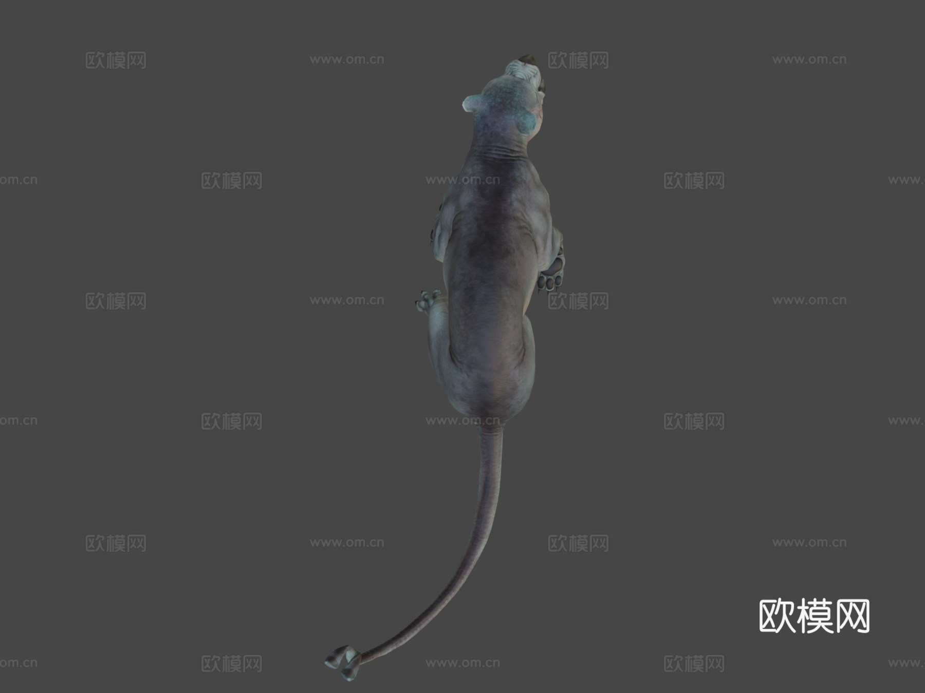 游戏挑战 - 3D - 怪物3d模型
