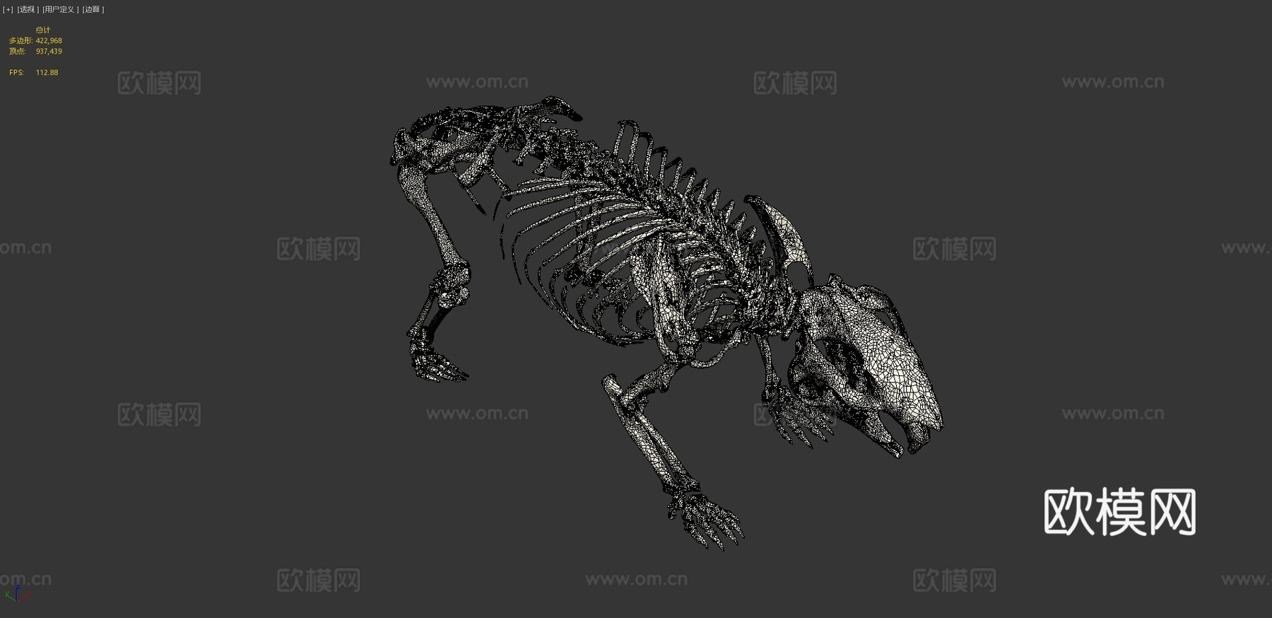 袋熊骨架3d模型