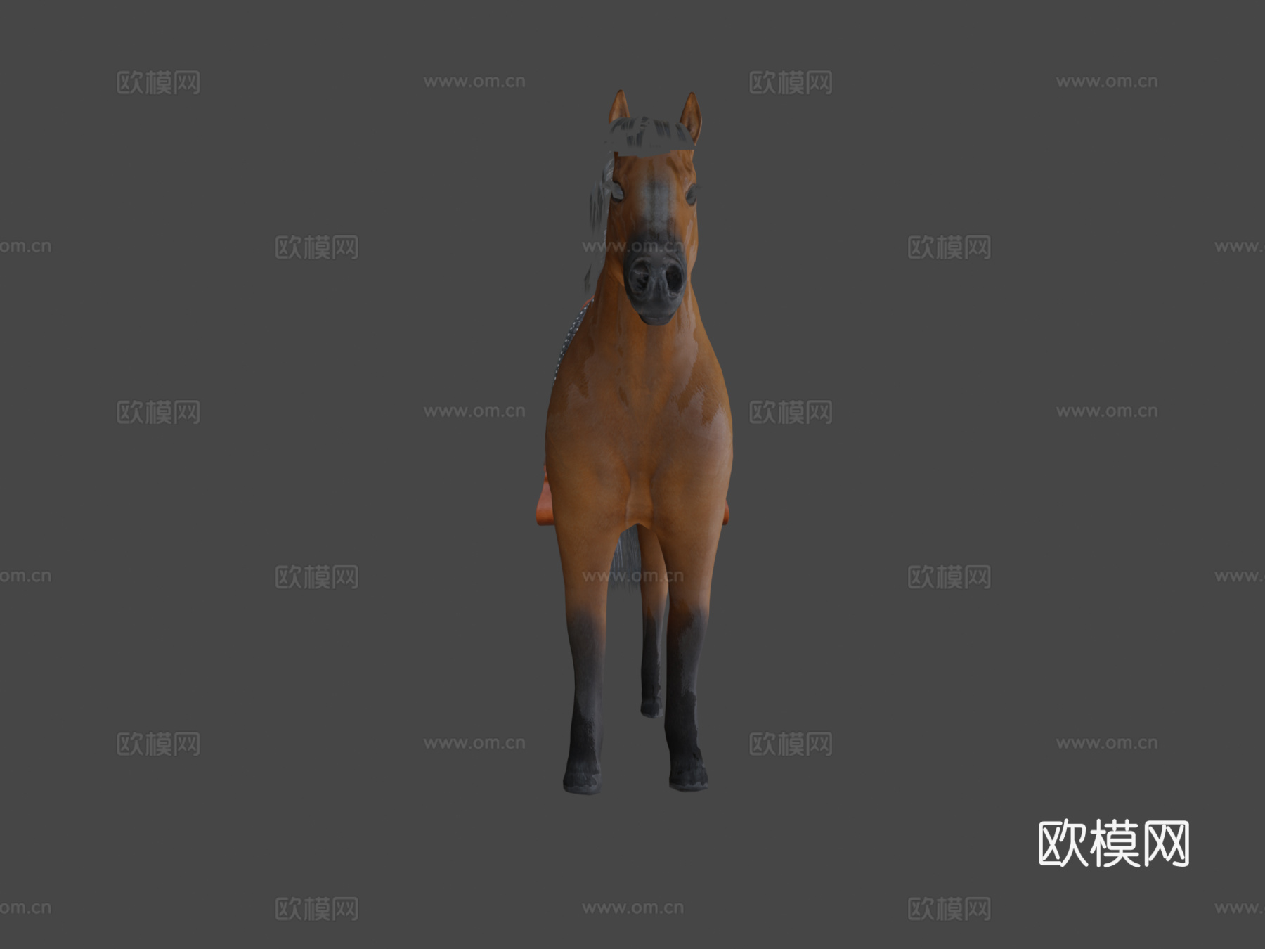 棕色马绑定3d模型