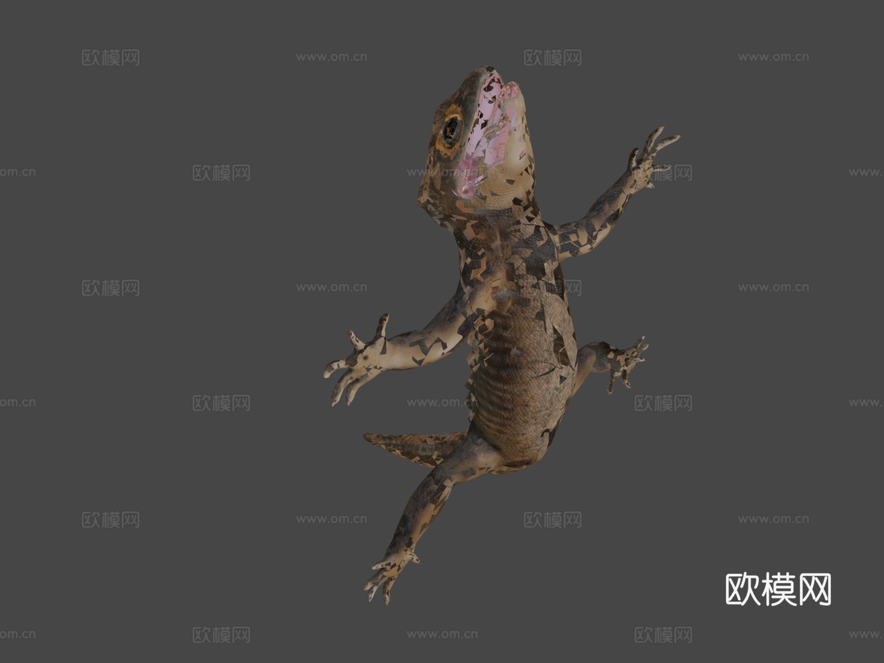 鳄鱼石龙子3d模型