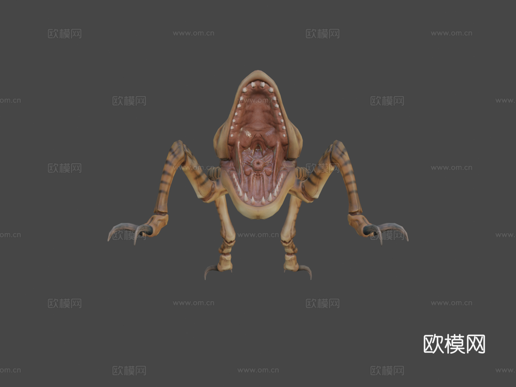 昆虫动画3d模型
