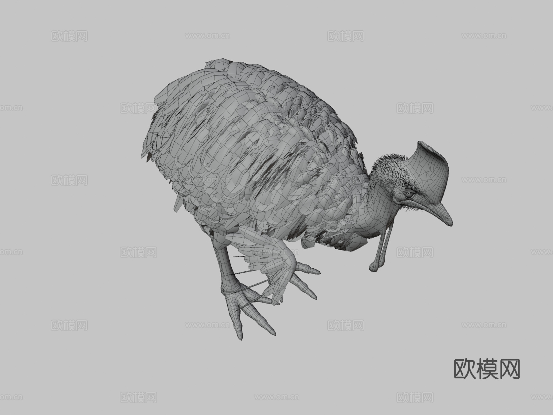 南方食火鸡su模型下载（渲染图3）