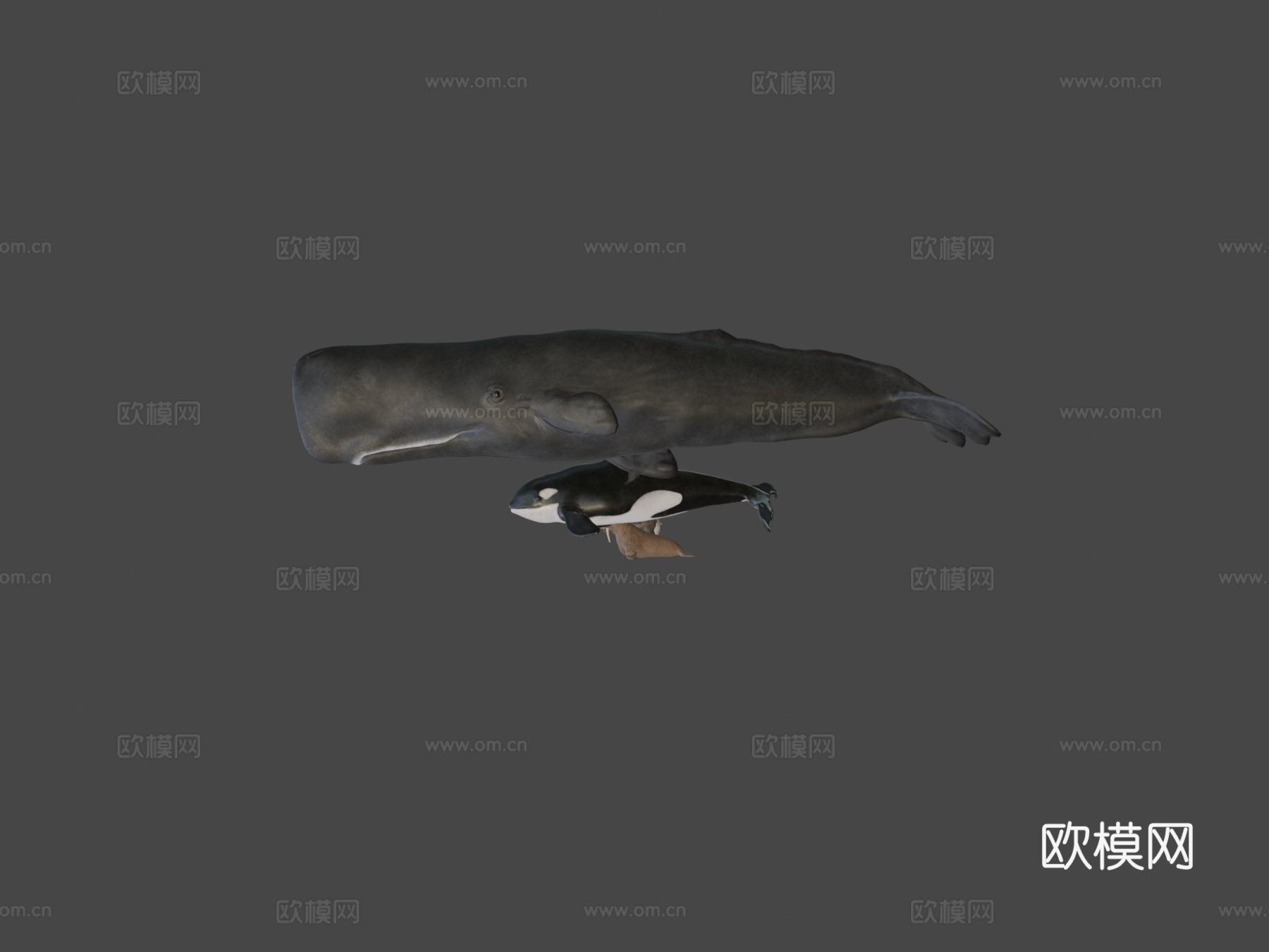 北极动物包3d模型