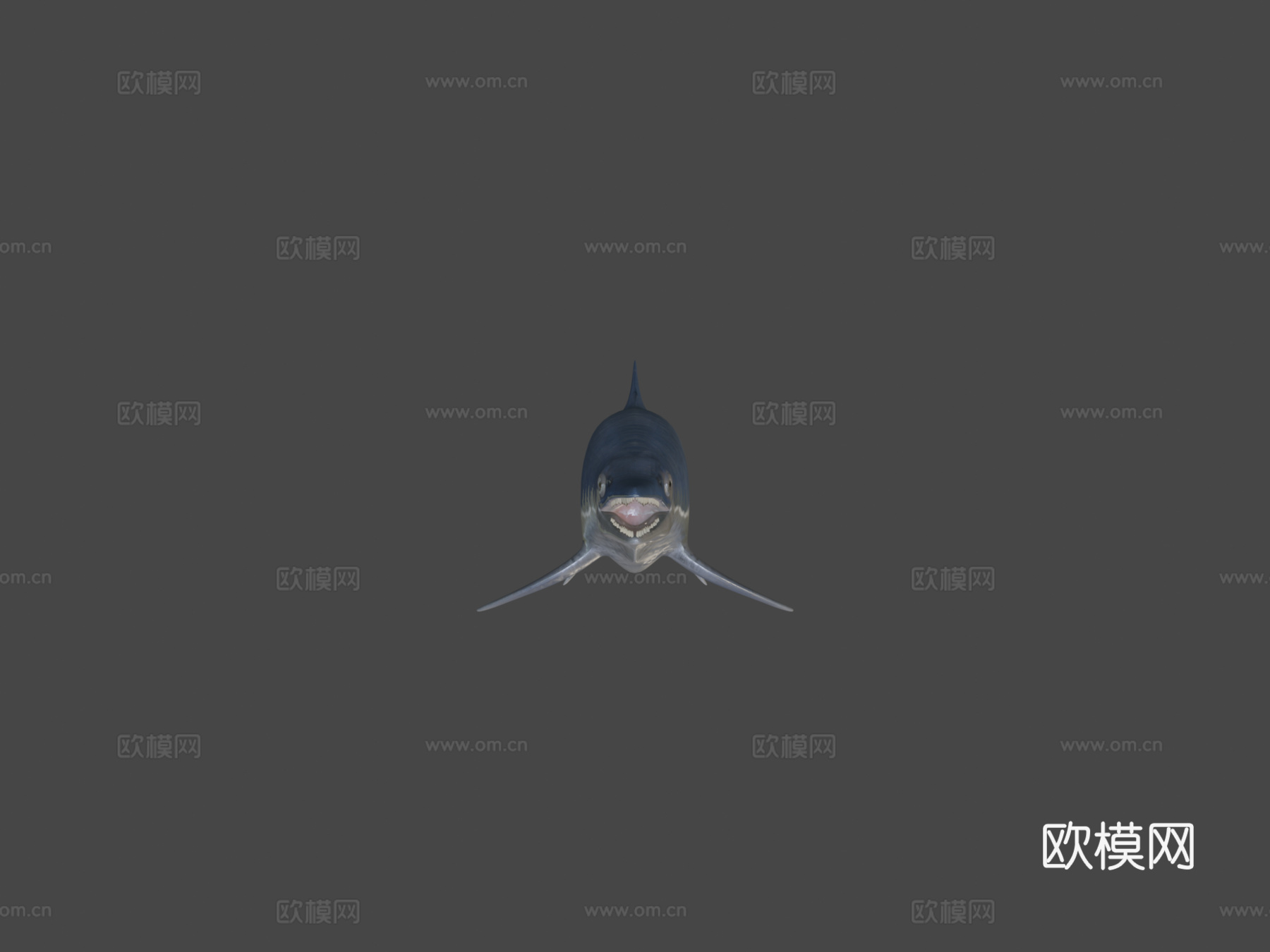 鱼龙3d模型
