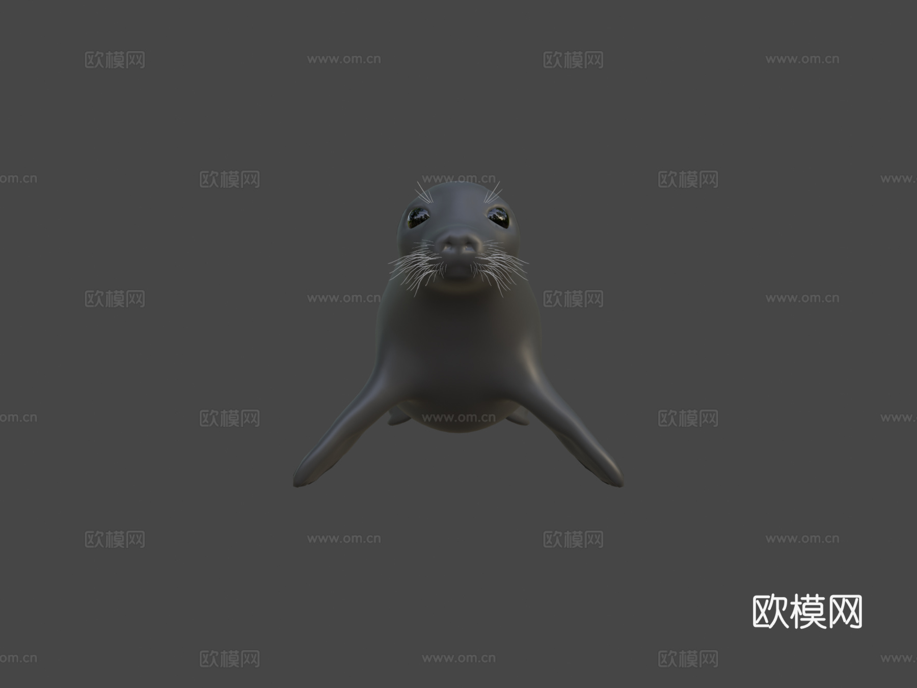 普通海豹3d模型