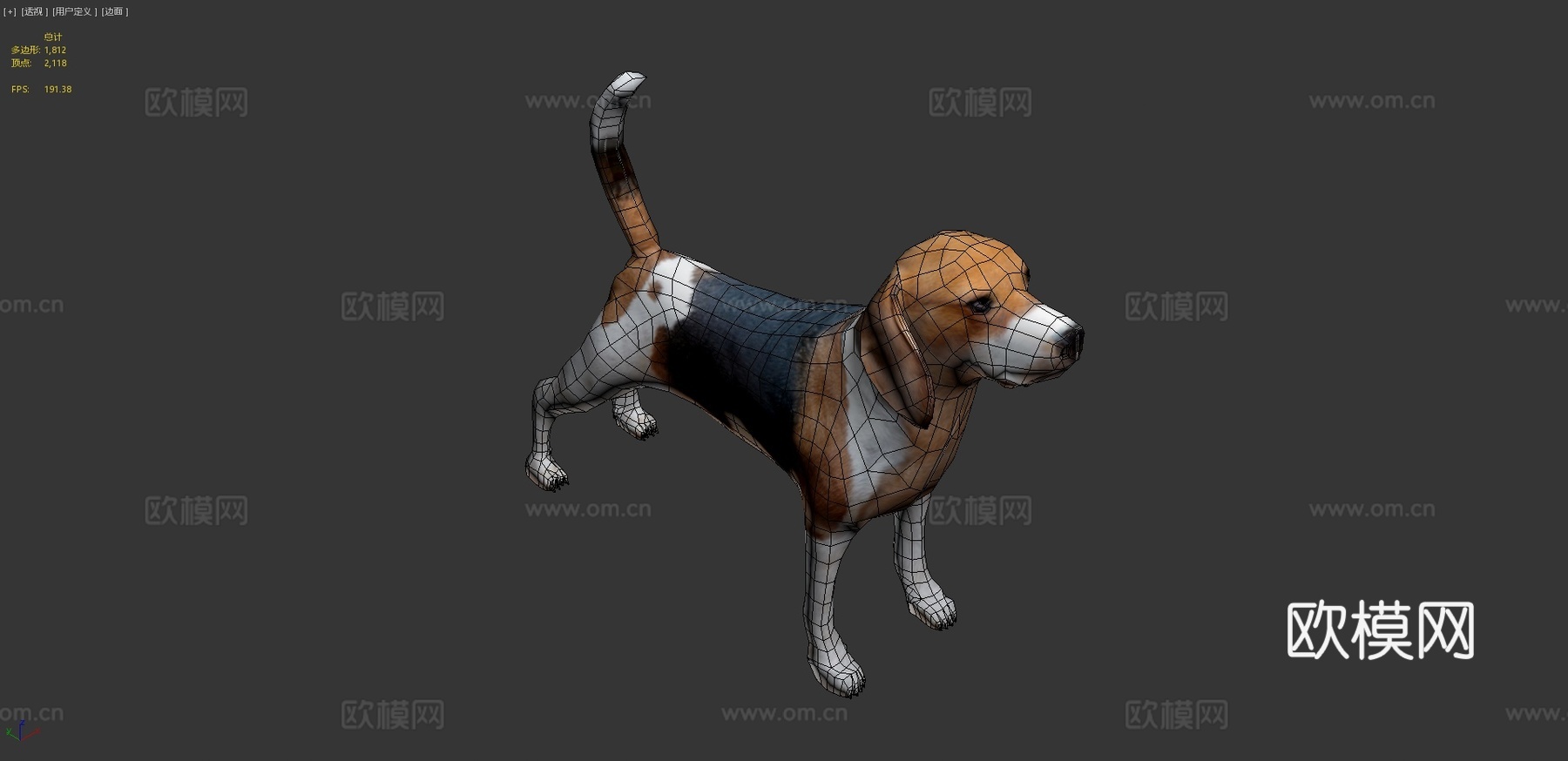 比格犬3d模型