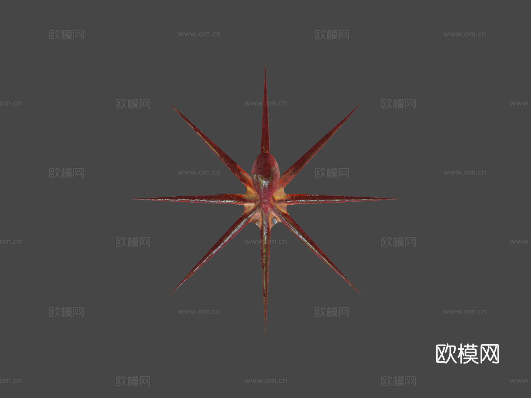 太平洋章鱼动画3d模型