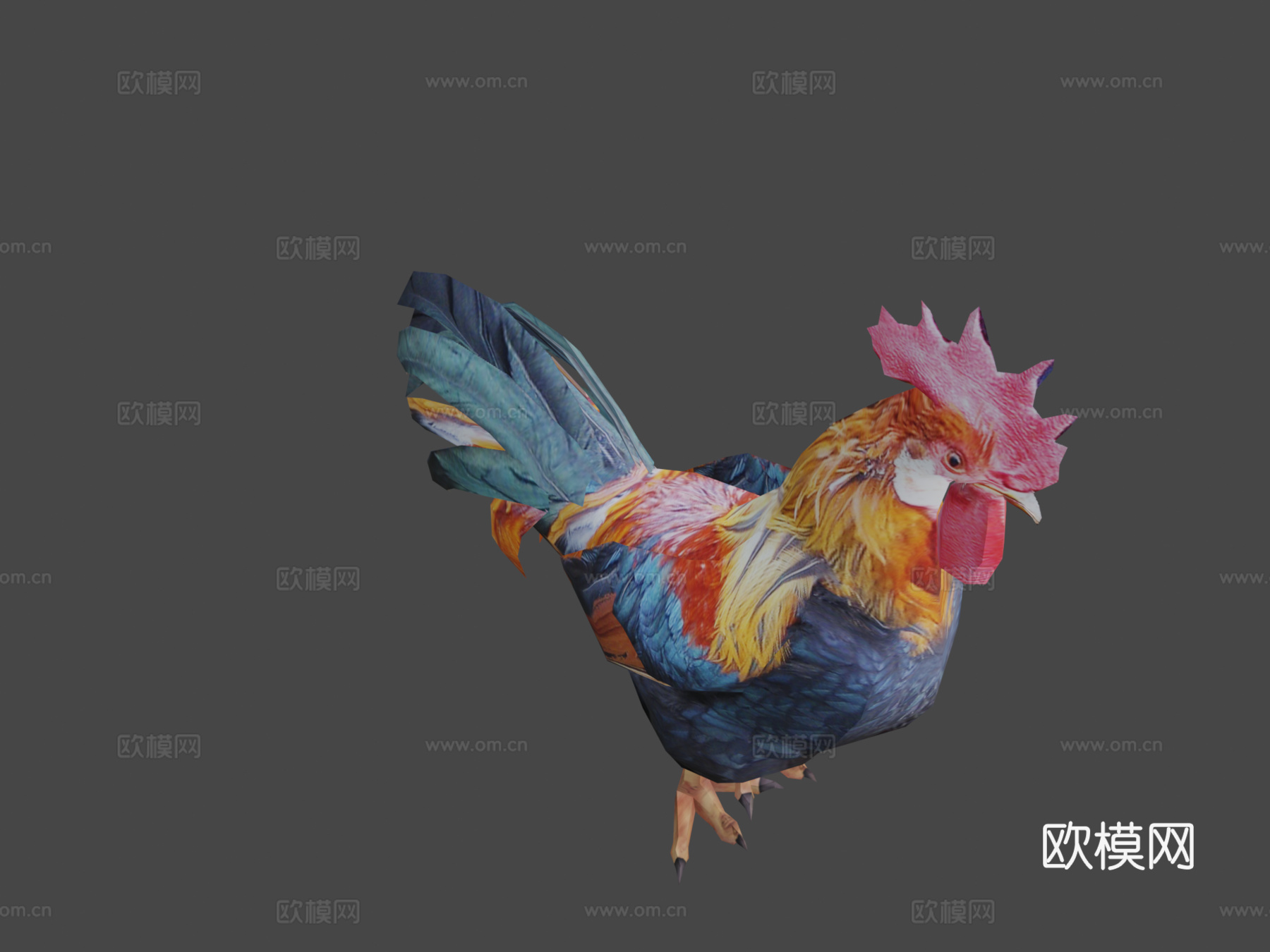 DRT-家禽-公鸡3d模型