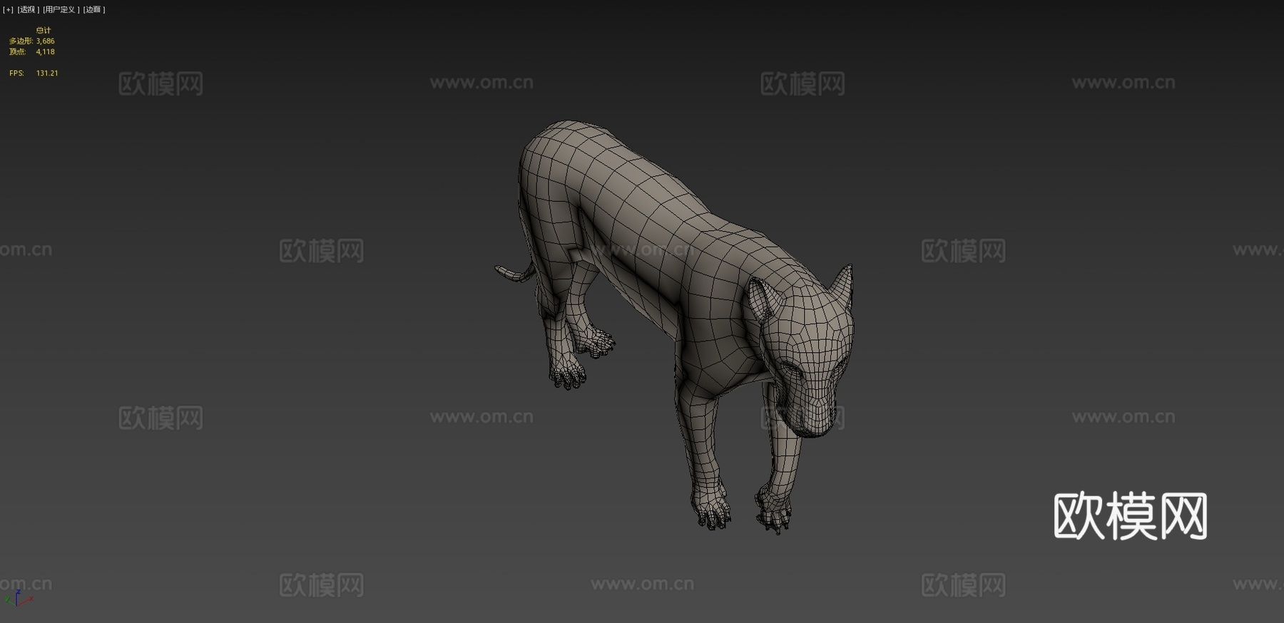 狮子解剖研究3d模型