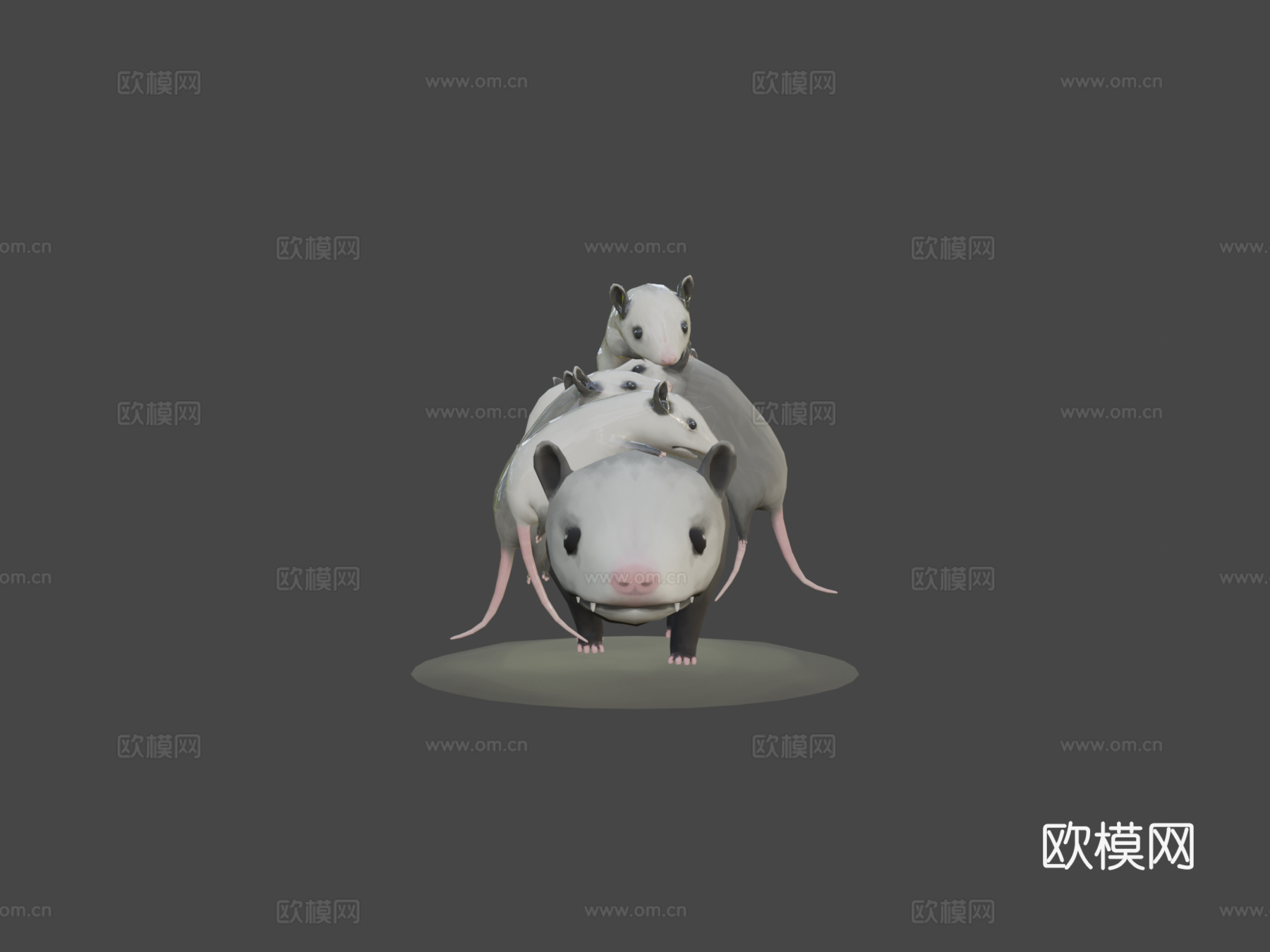 负鼠妈妈3d模型
