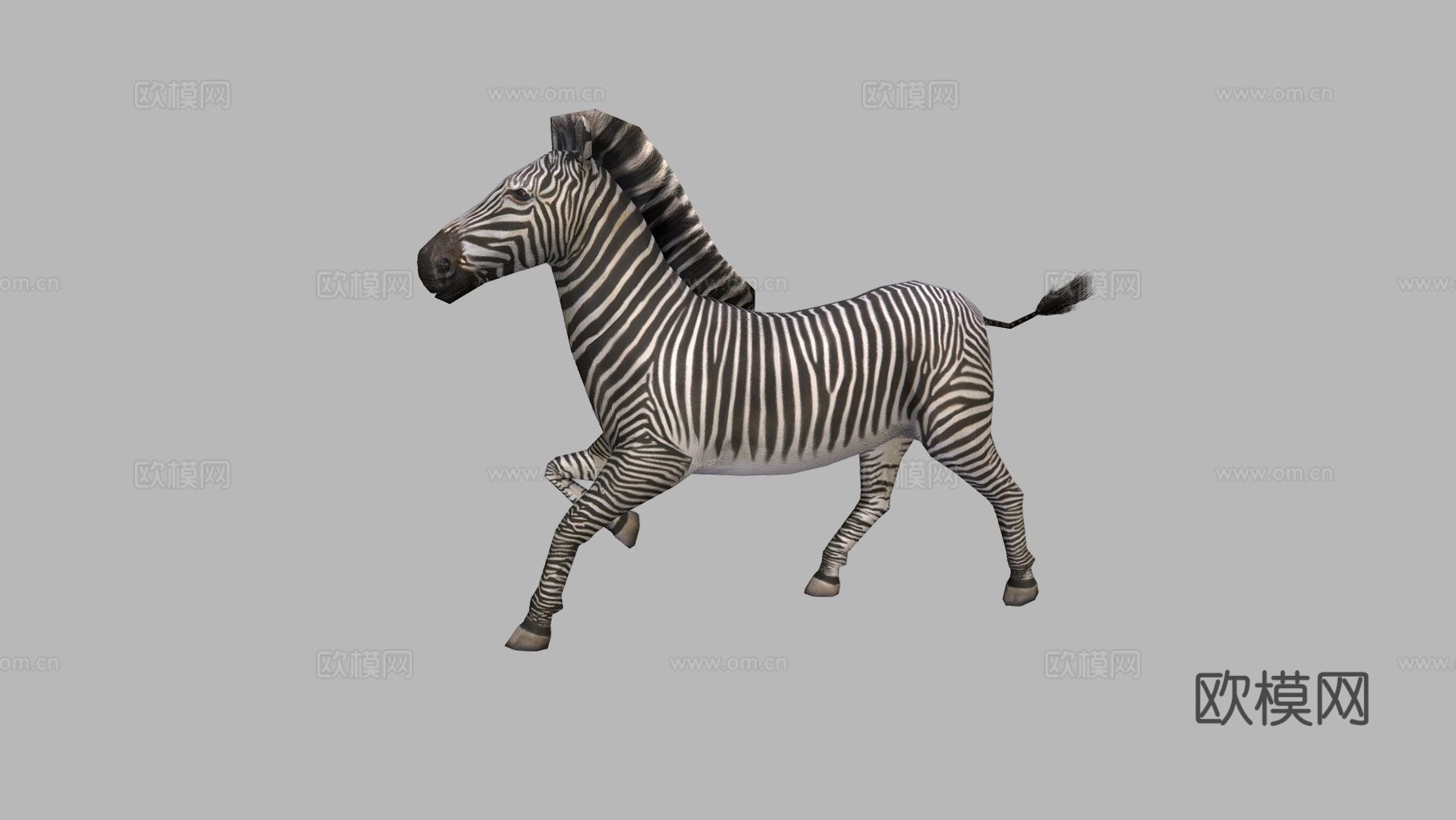 斑马奔跑3d模型