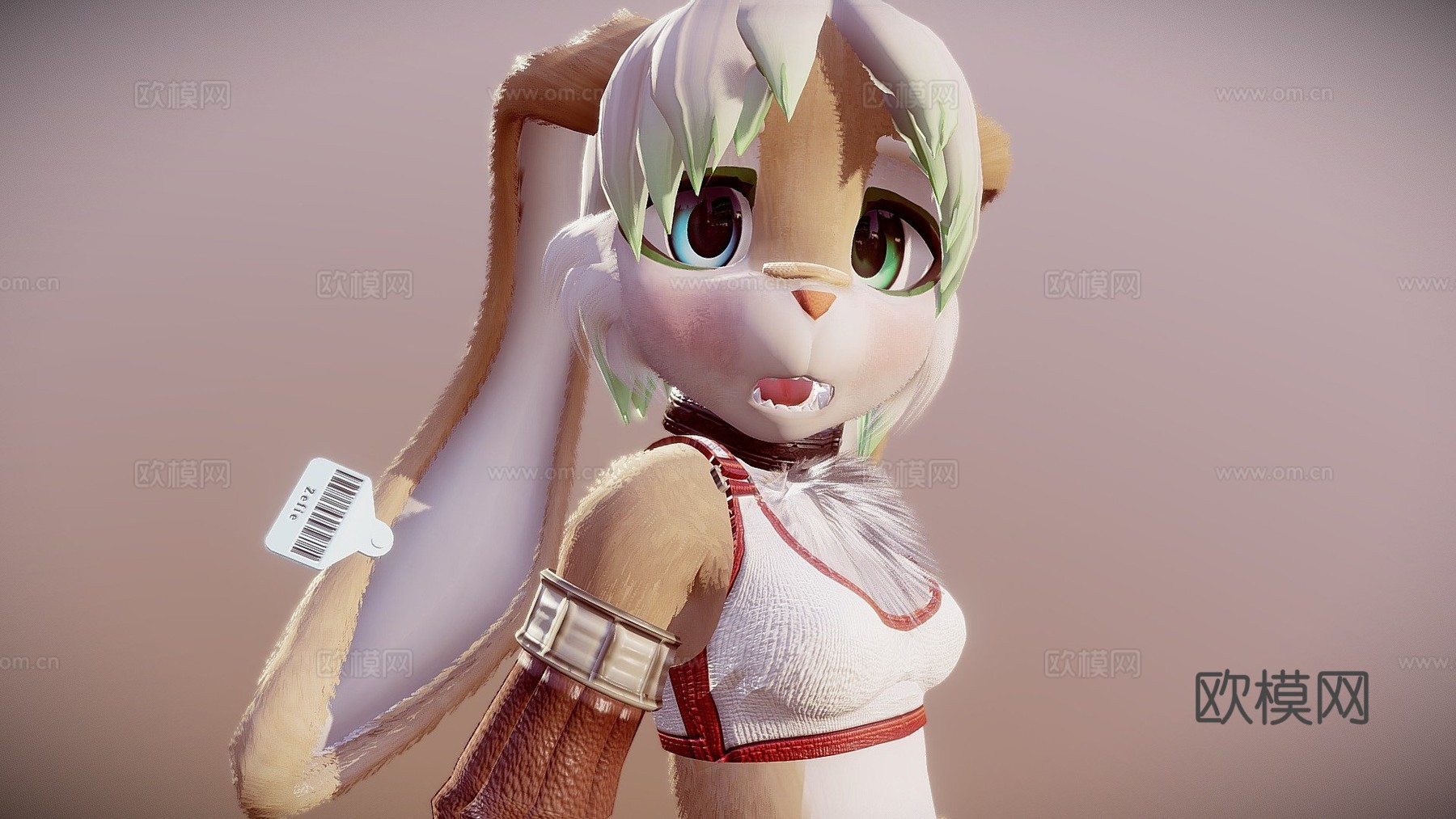泽菲3d模型