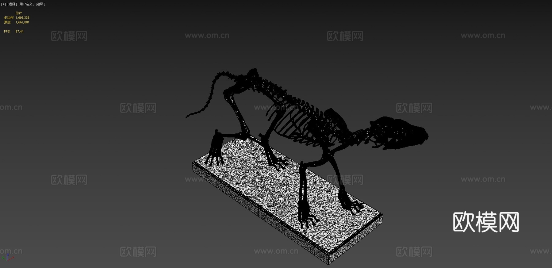 库佩奥狐骨架3d模型