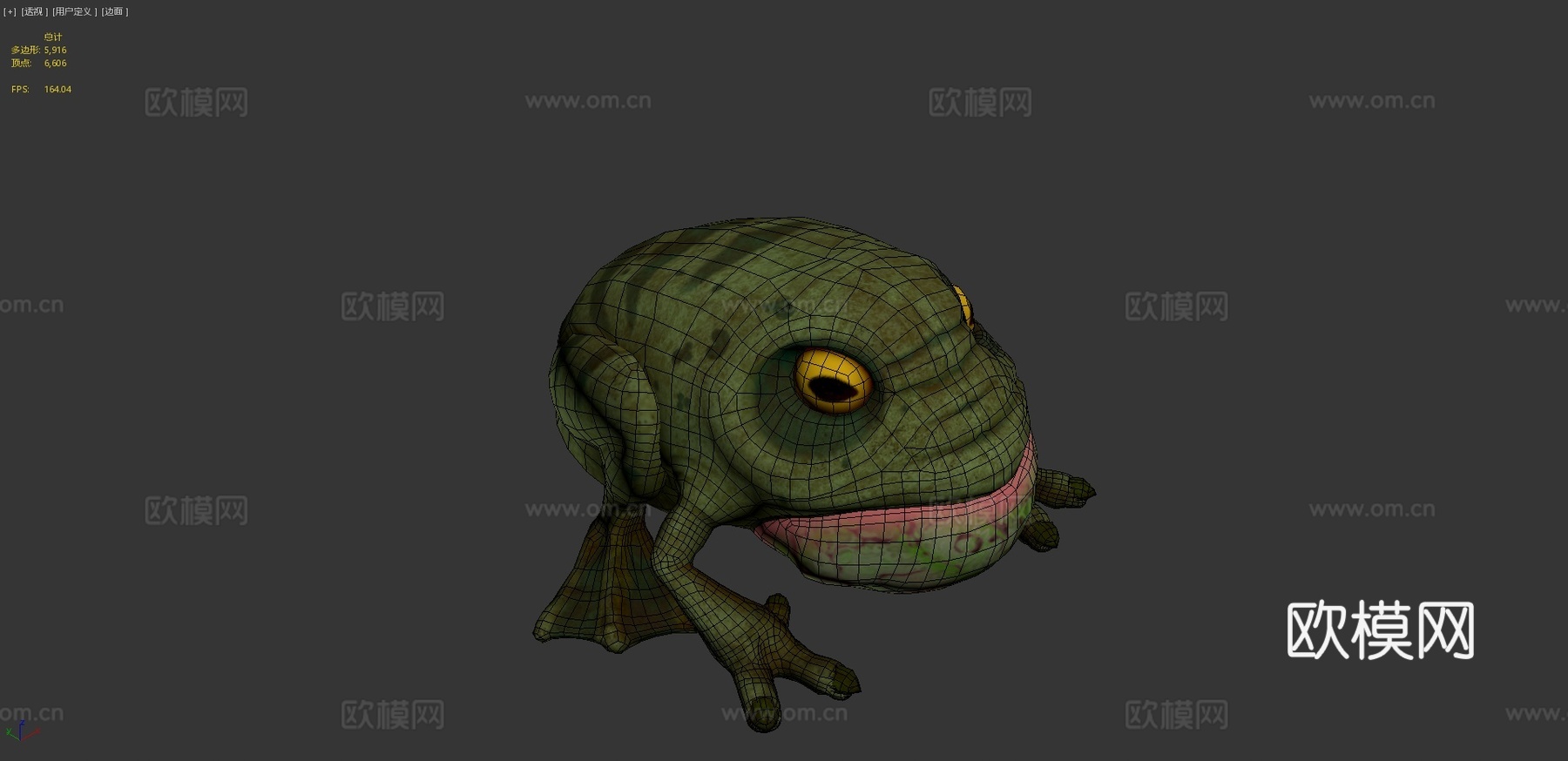 青蛙3d模型