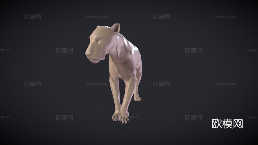 狮子解剖研究3d模型