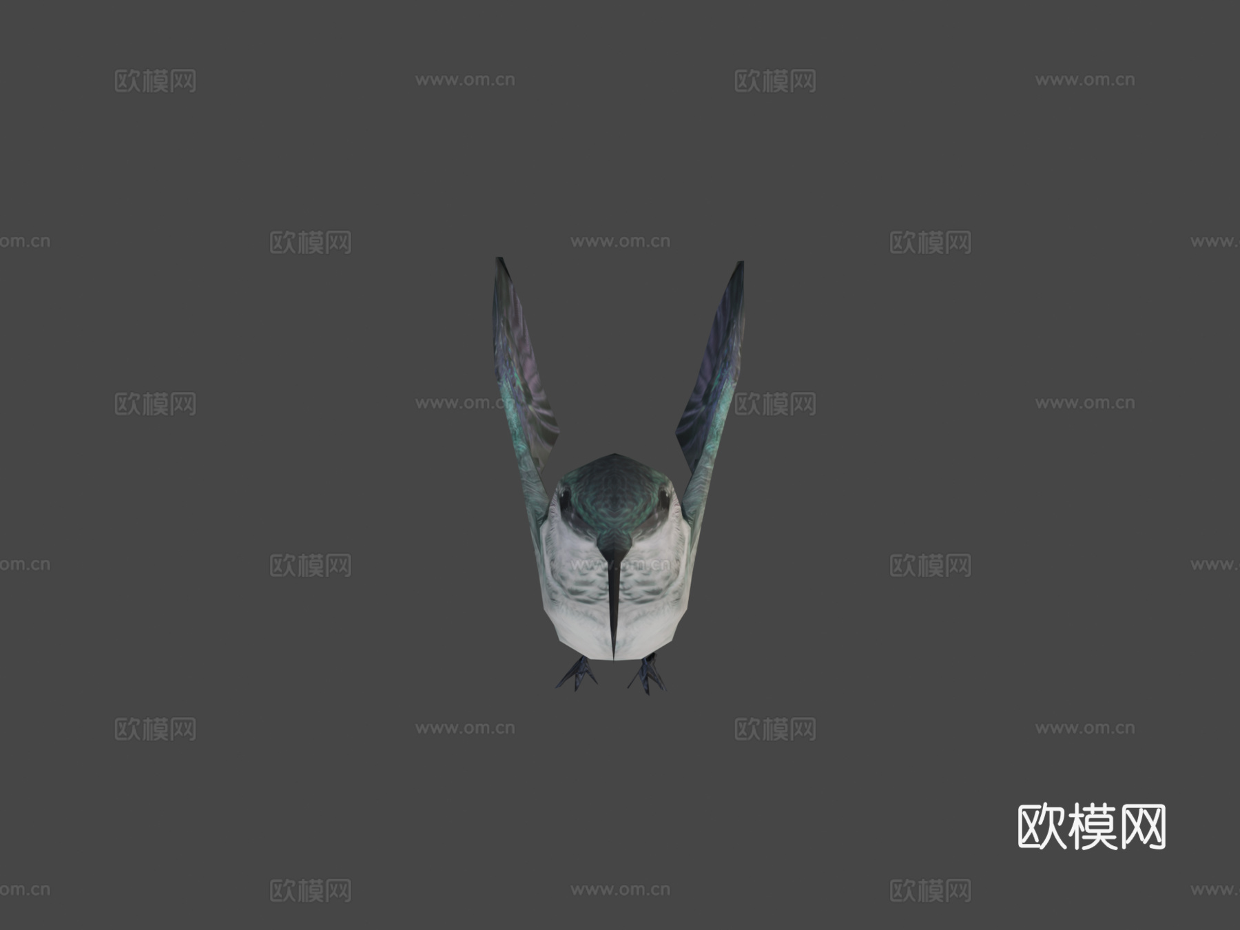 蜂鸟3d模型
