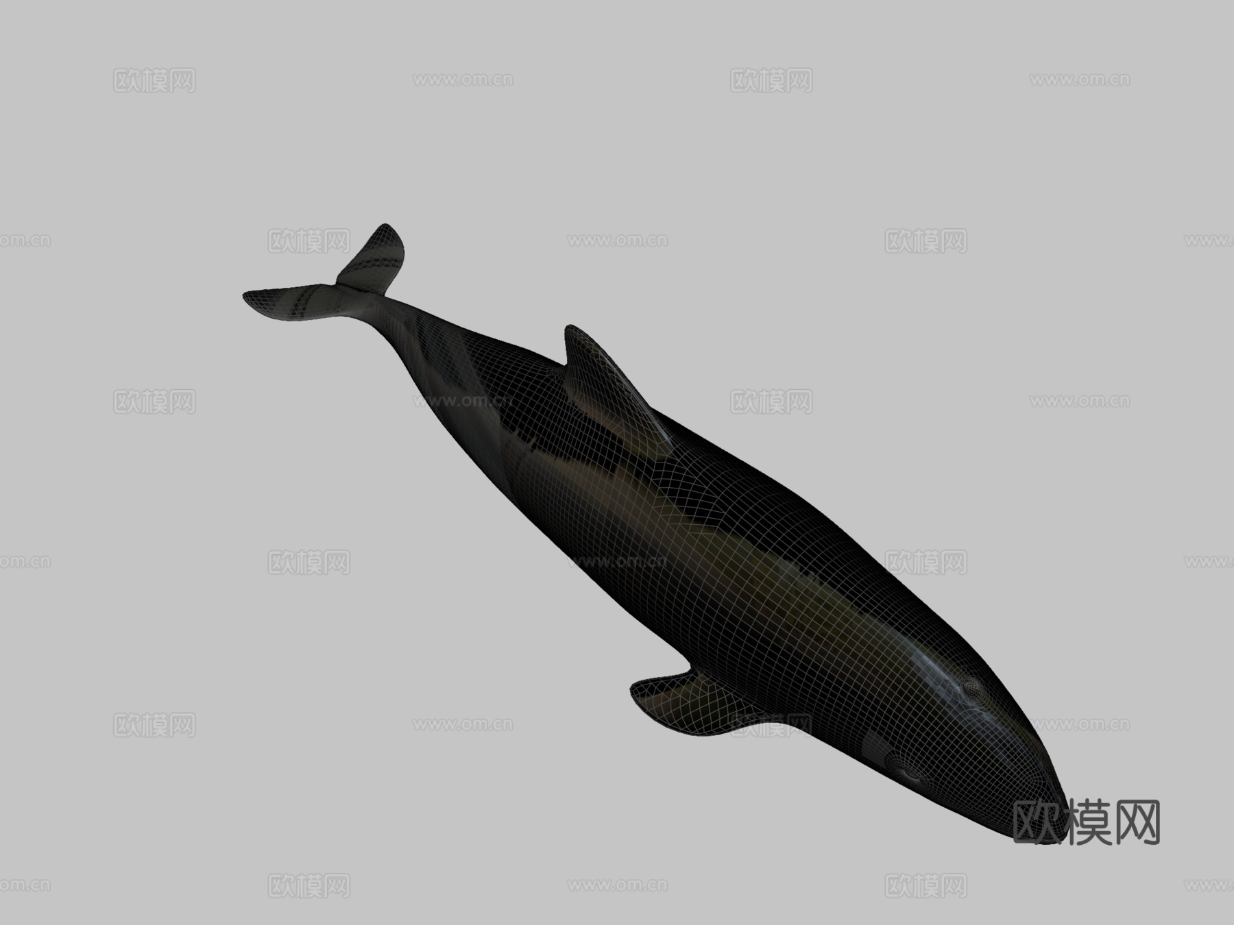 A型-港湾鼠海豚3d模型