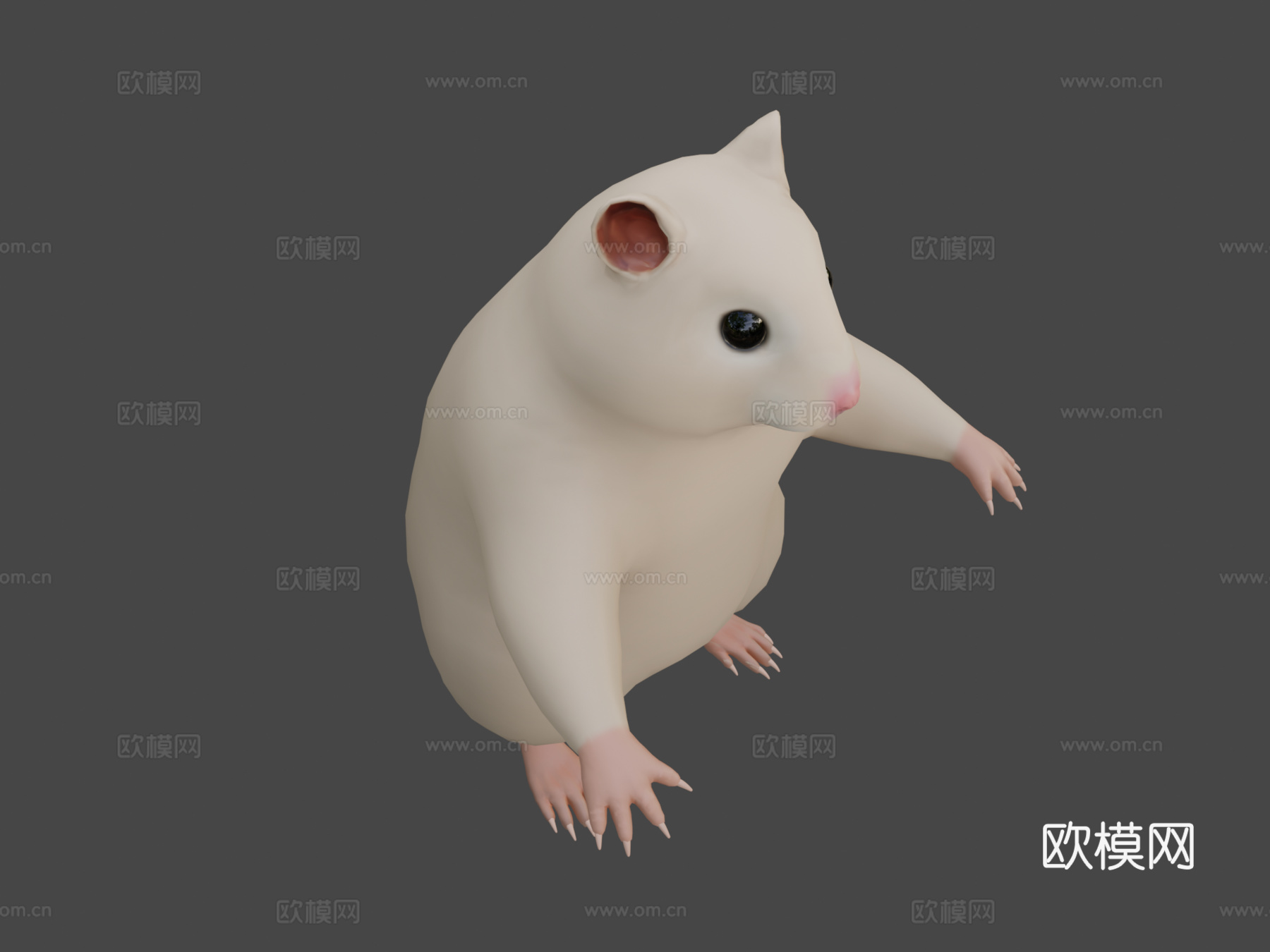 仓鼠3d模型下载（渲染图7）