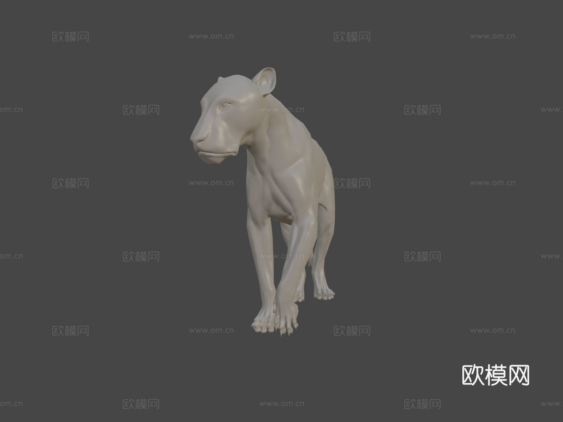狮子解剖研究3d模型