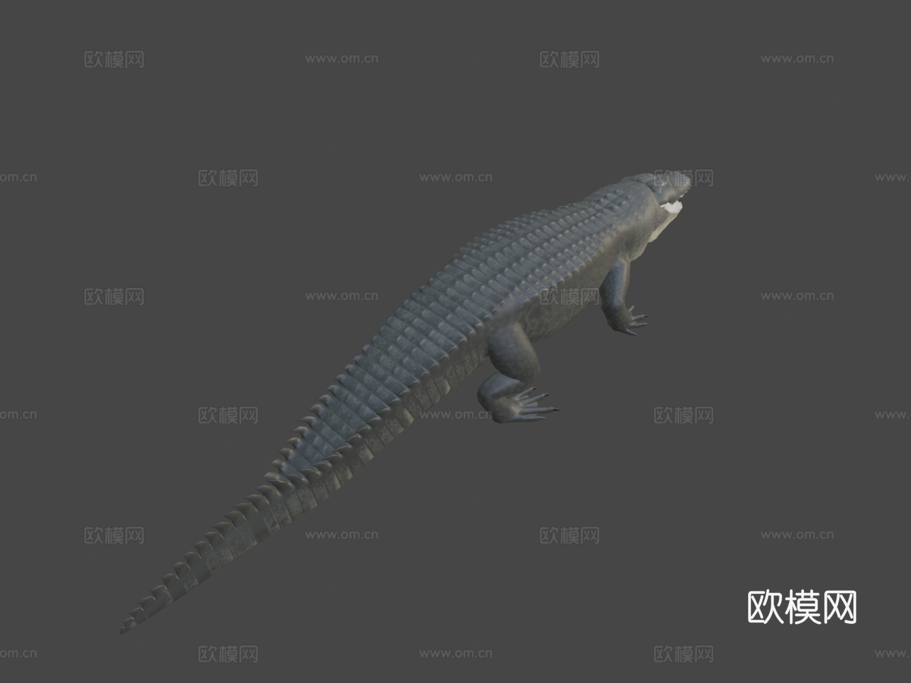 美洲短吻鳄-Blender文件3d模型