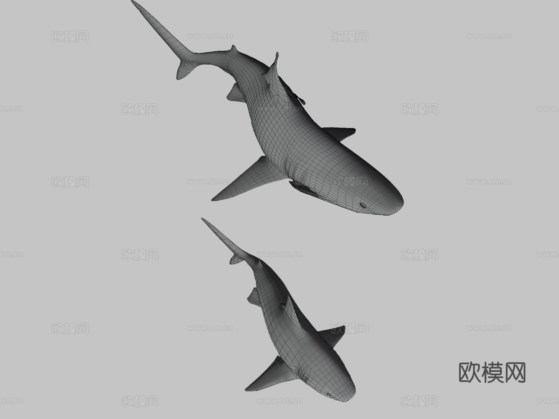 虎鲨-游戏就绪版3d模型