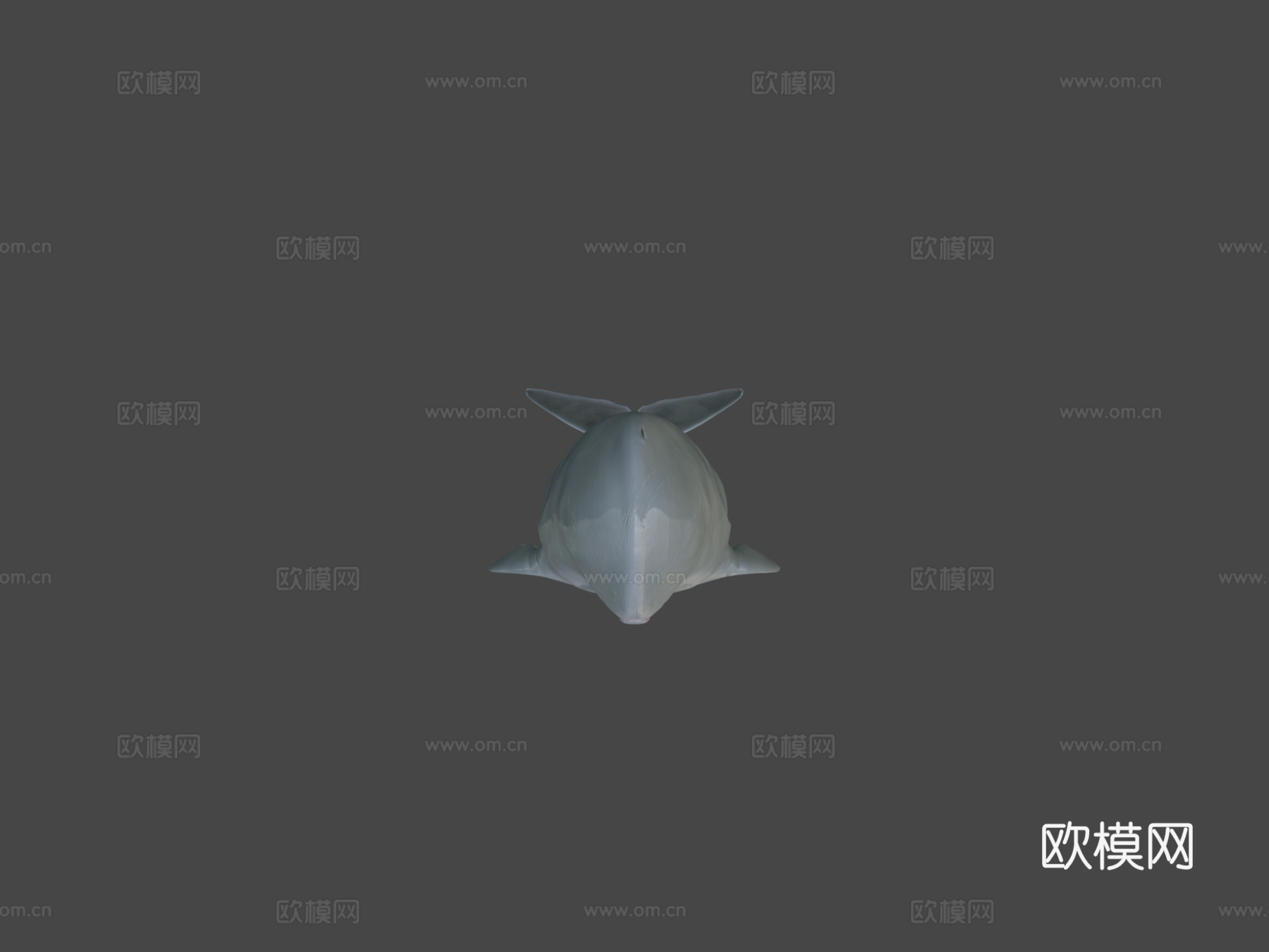 抹香鲸3d模型