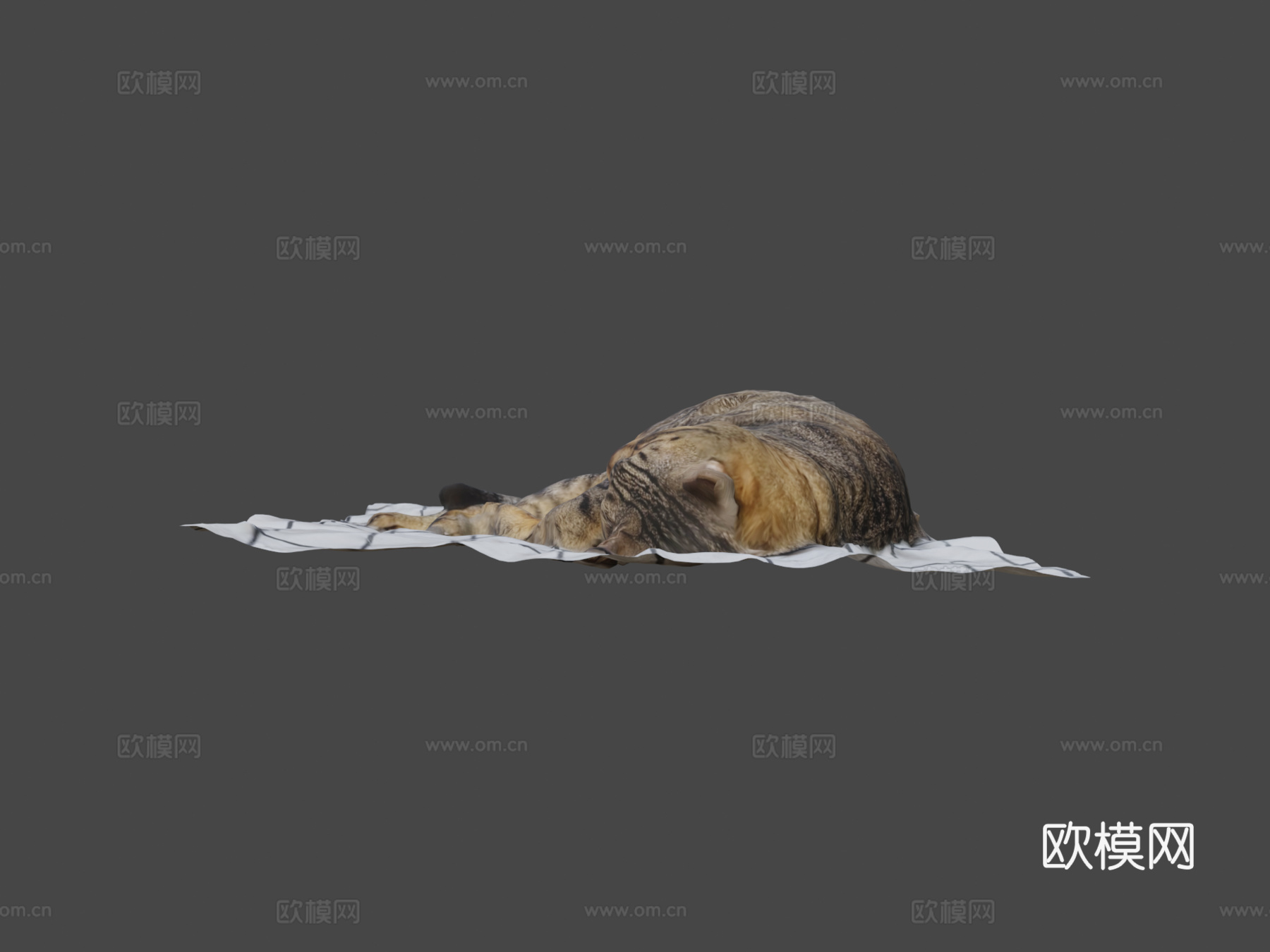 床上睡猫1-3D扫描su模型