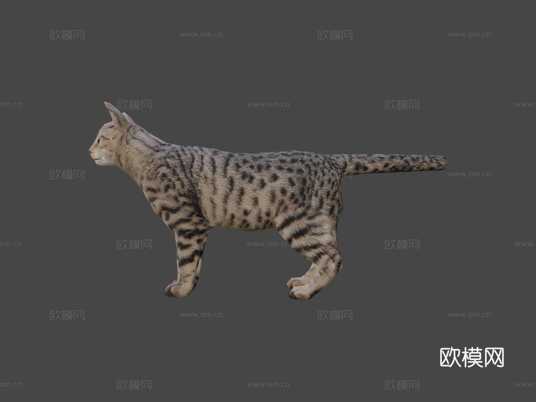 DRT-家养动物-猫3d模型