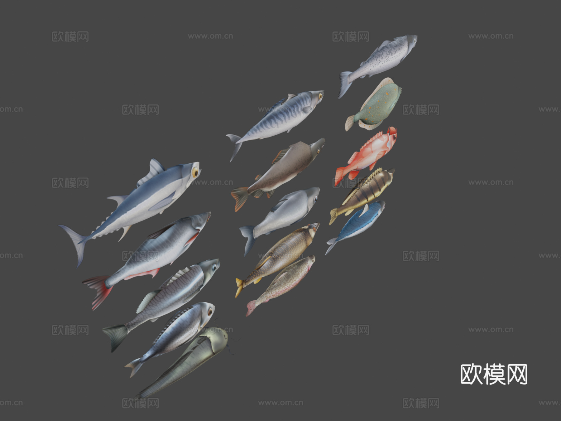 风格化鱼类套装3d模型