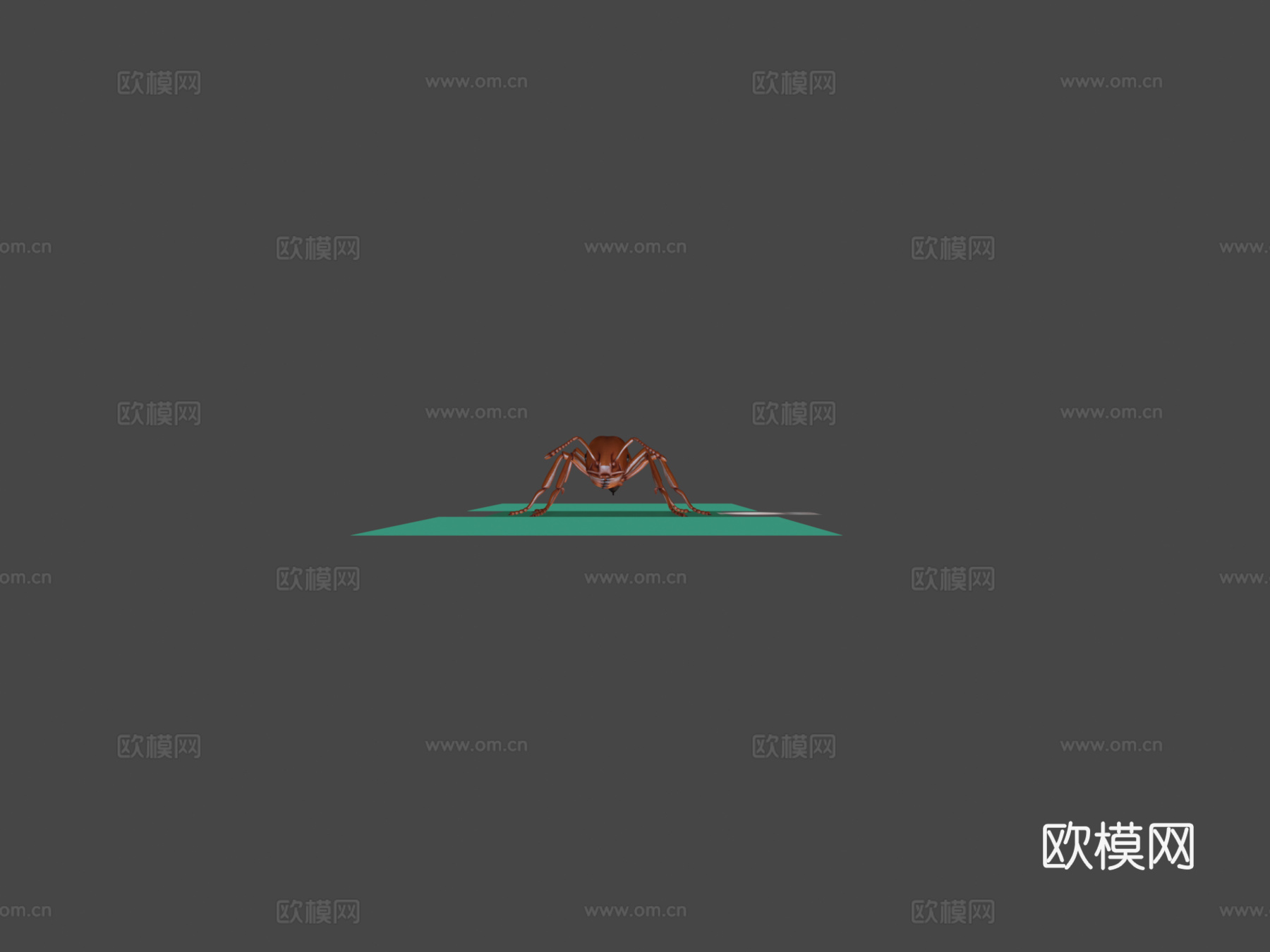红火蚁-带动画3d模型