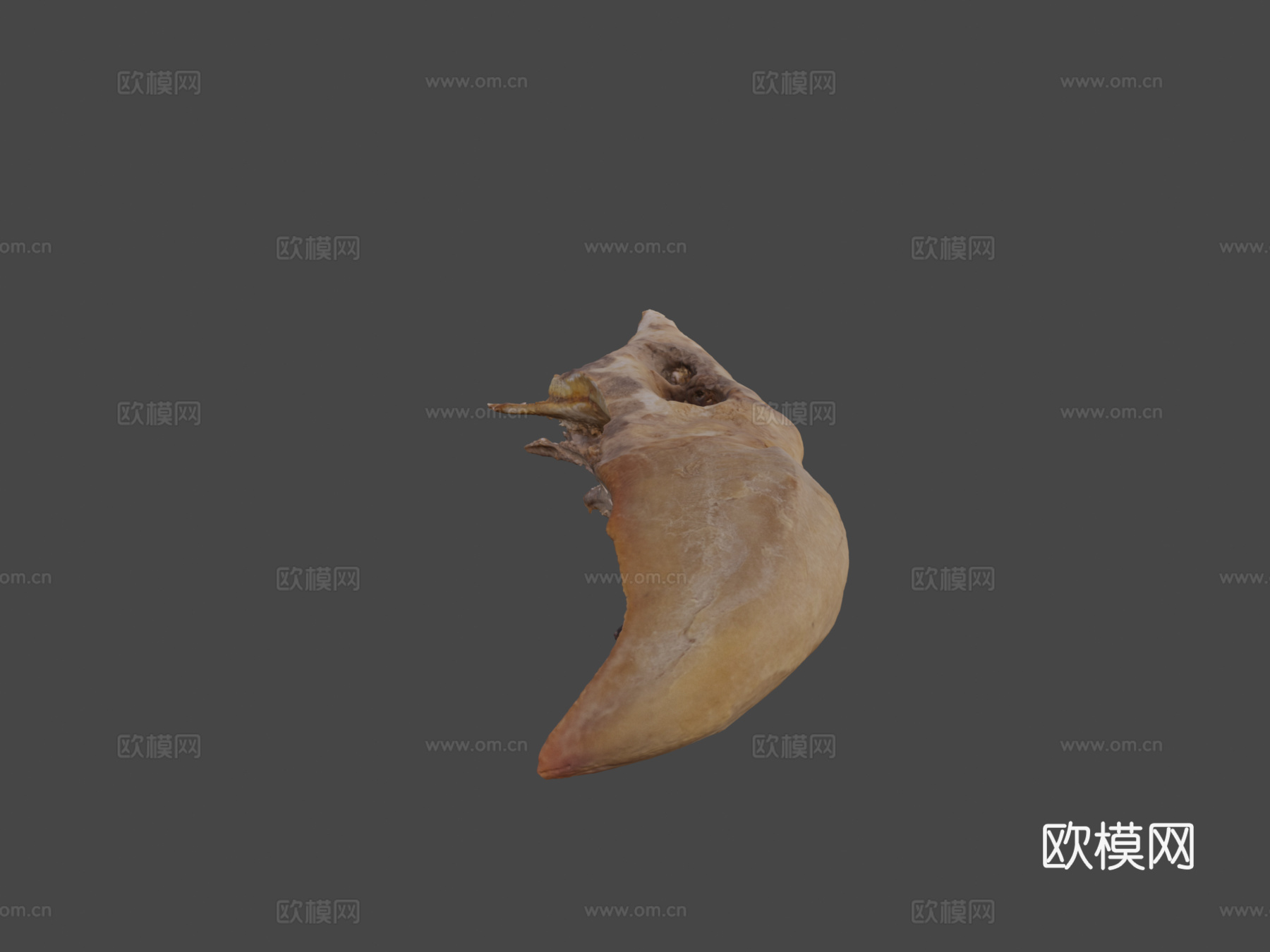 加州秃鹫3d模型
