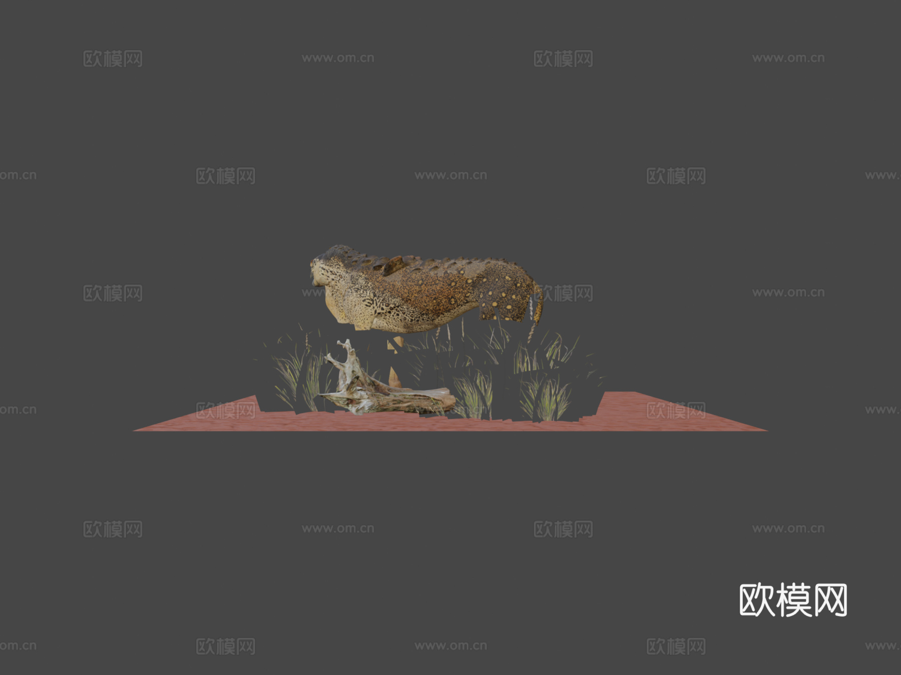 猫蜥蜴3d模型