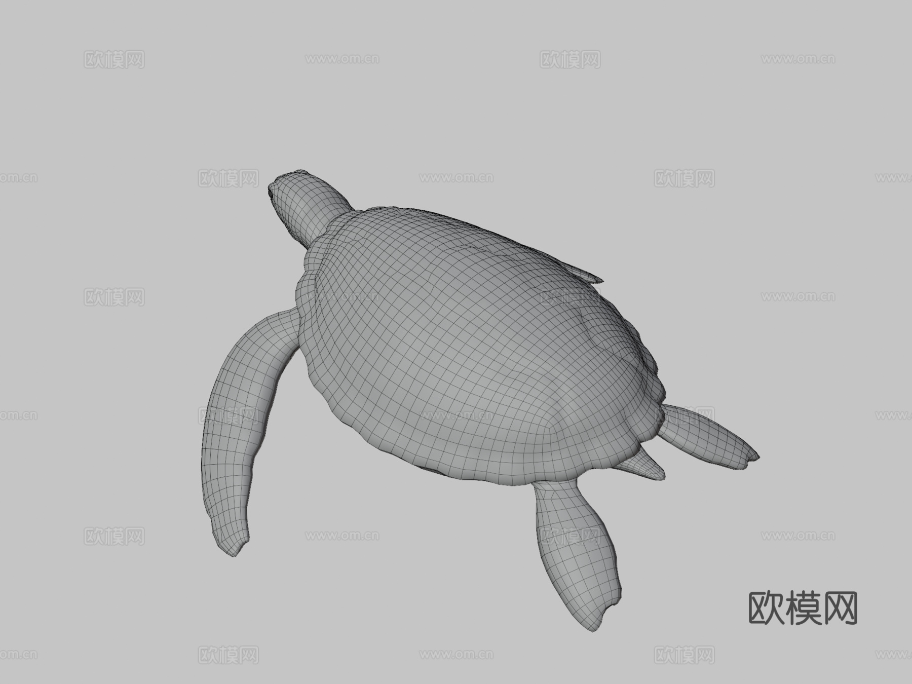 海龟低多边形3d模型