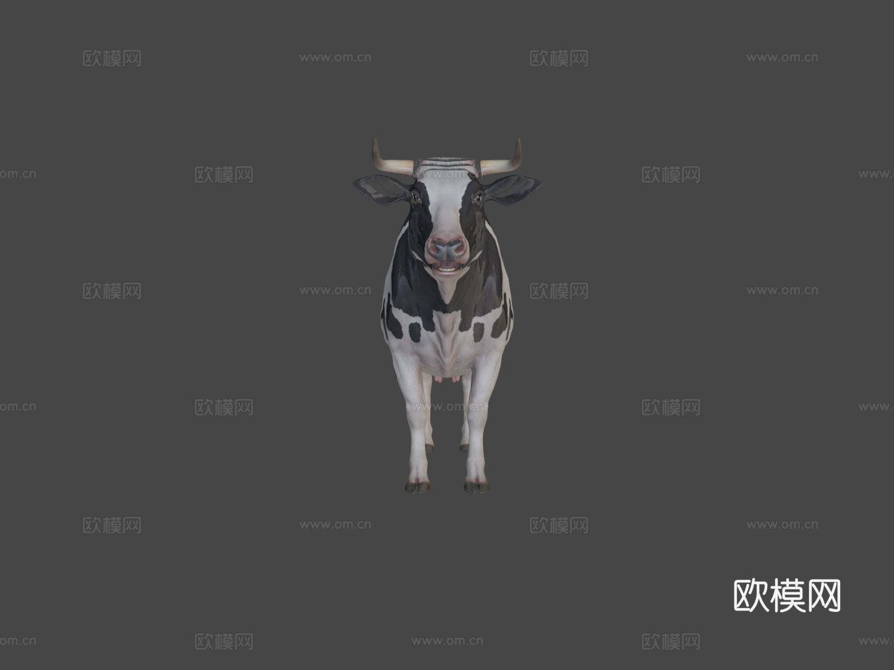 奶牛动画第二版3d模型