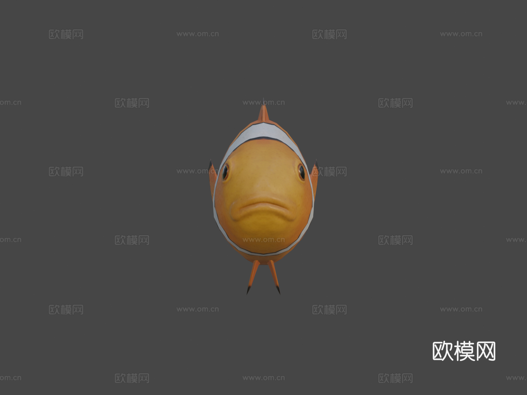 小丑鱼3d模型