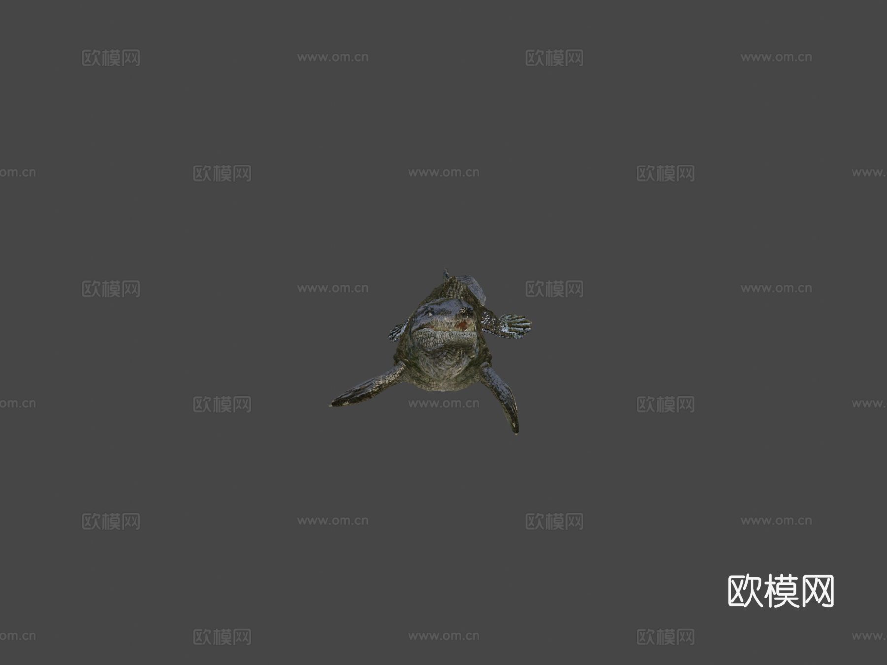 达科龙3d模型