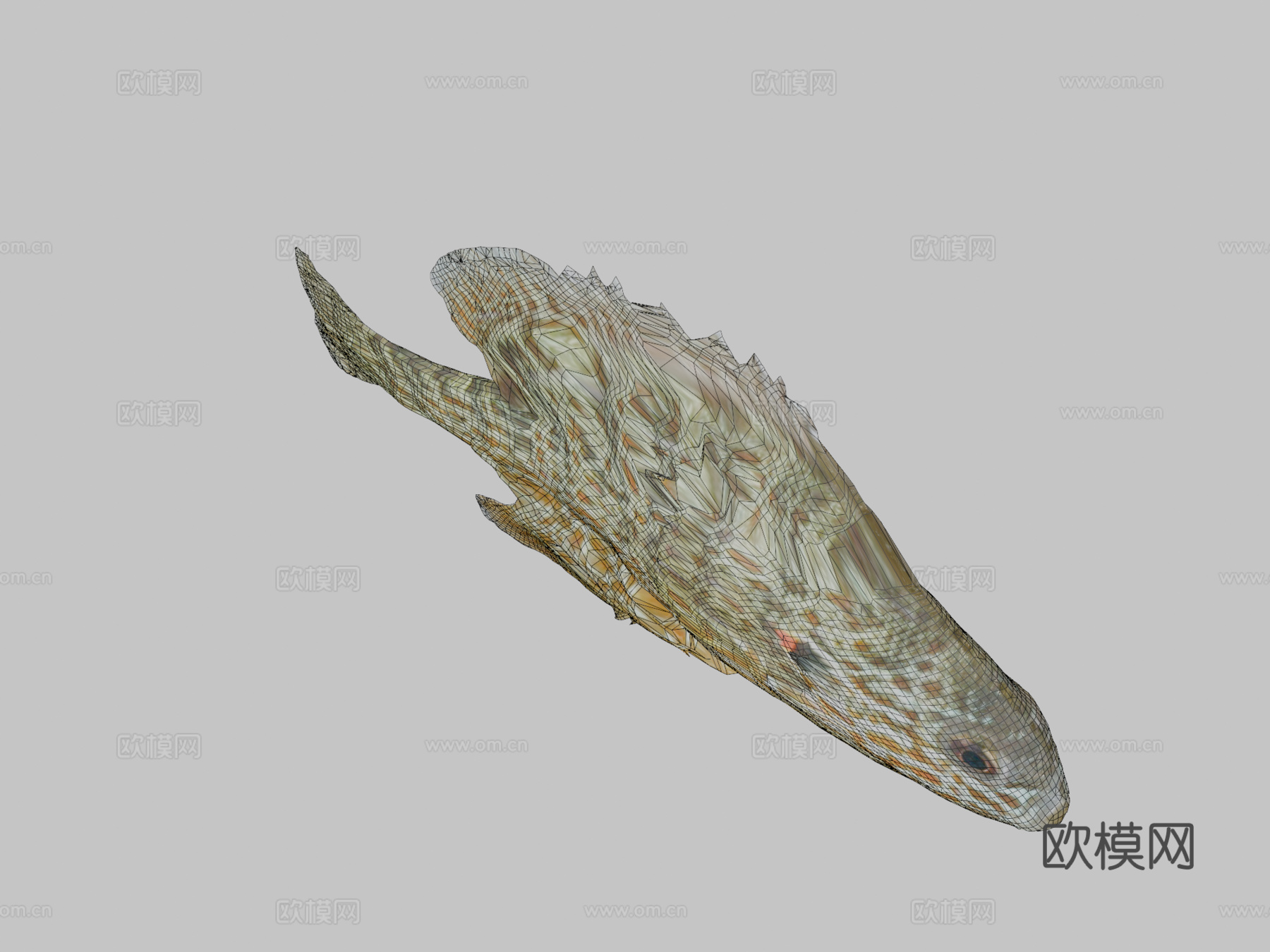 模型38-南瓜籽太阳鱼3d模型
