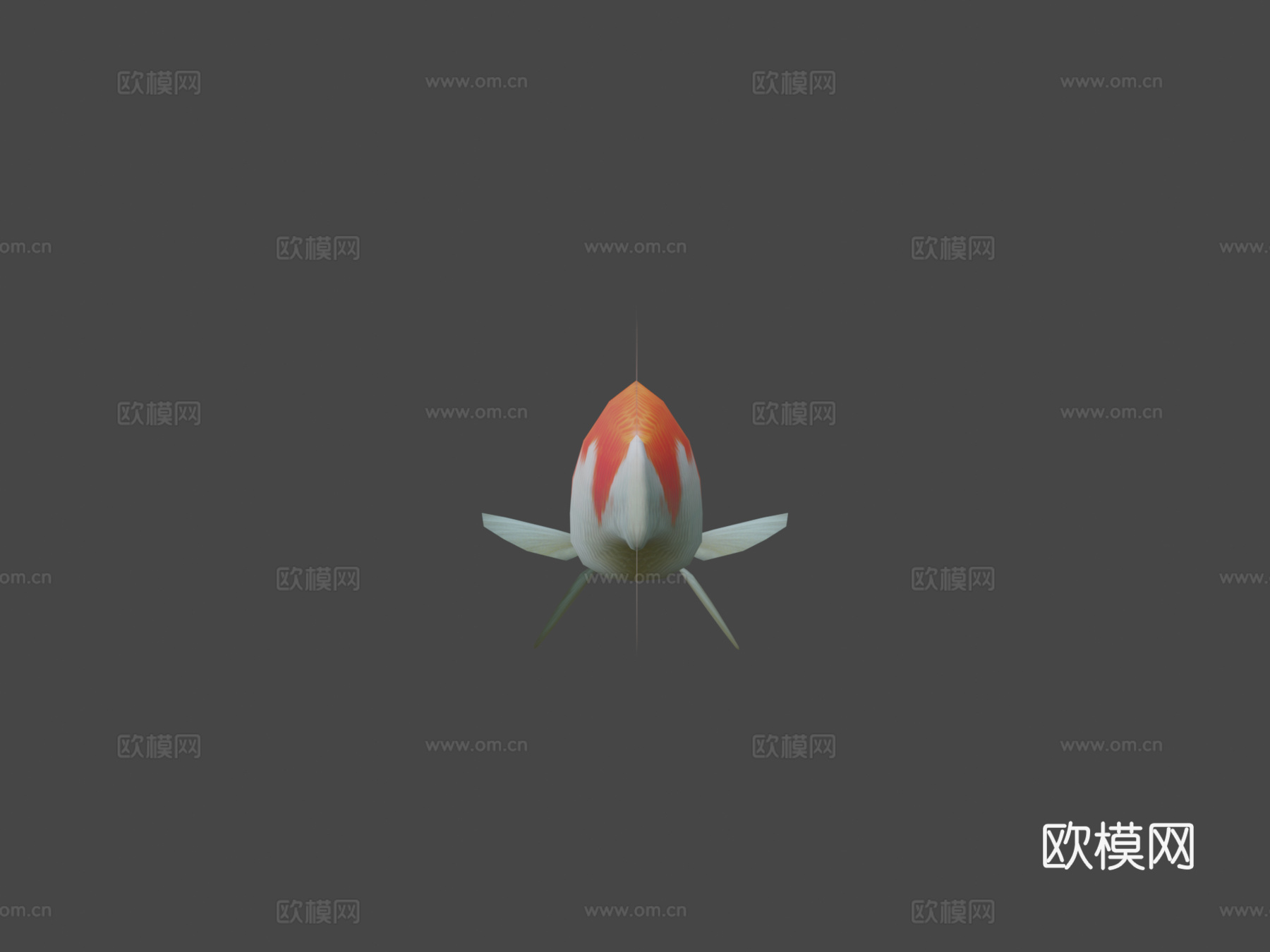 锦鲤3d模型