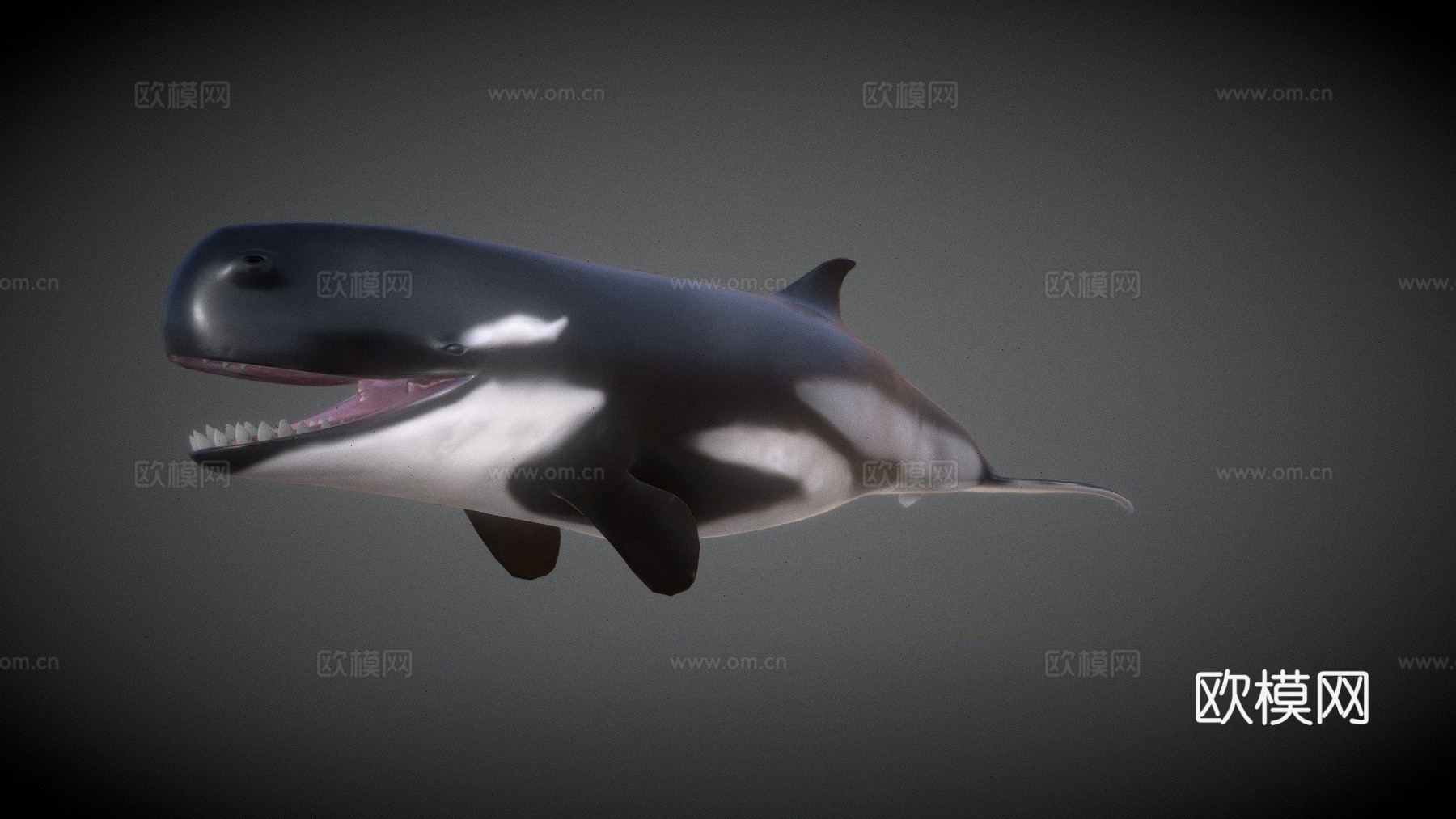 利维坦鲸3d模型