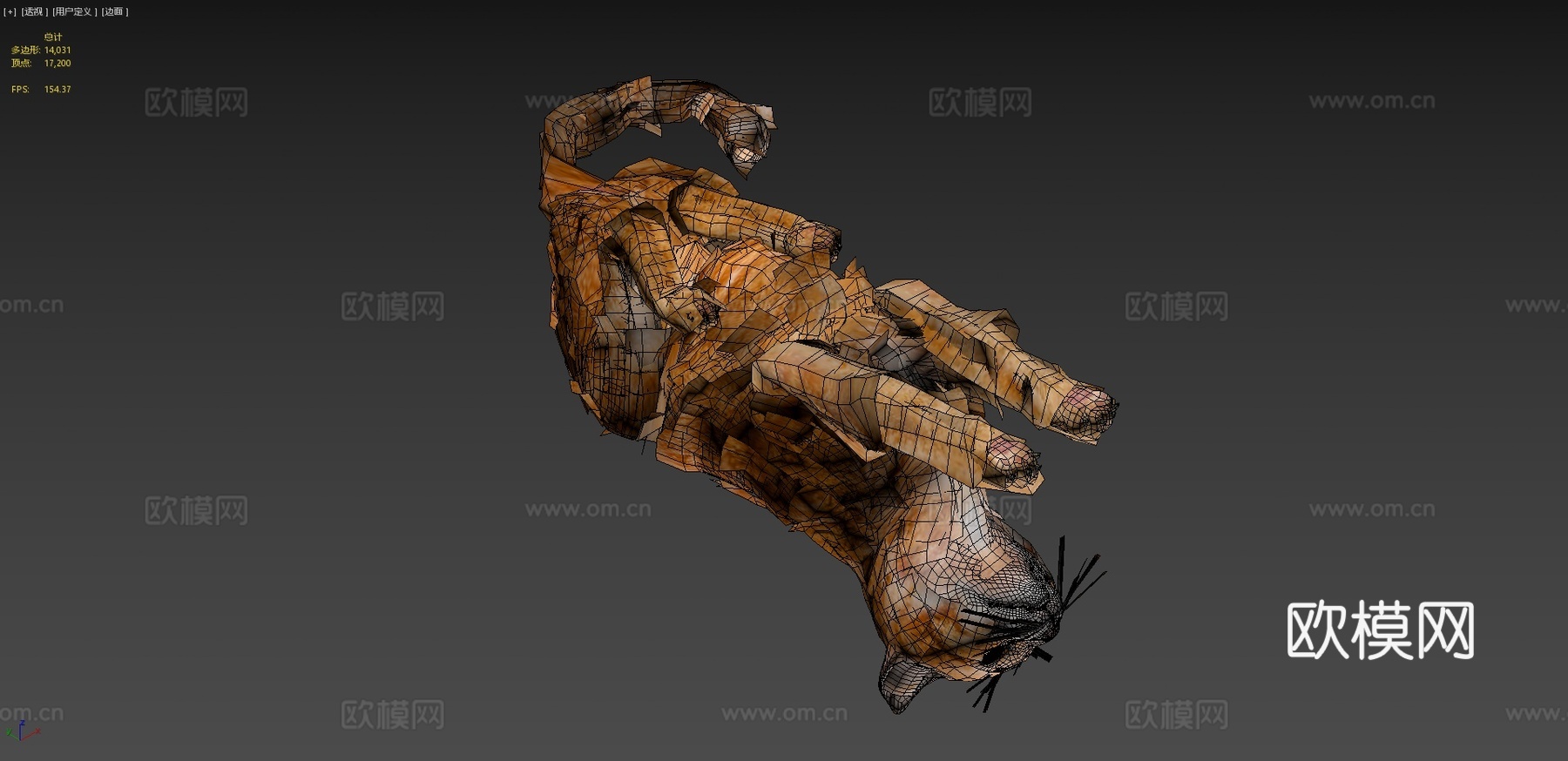橙色动画猫3d模型