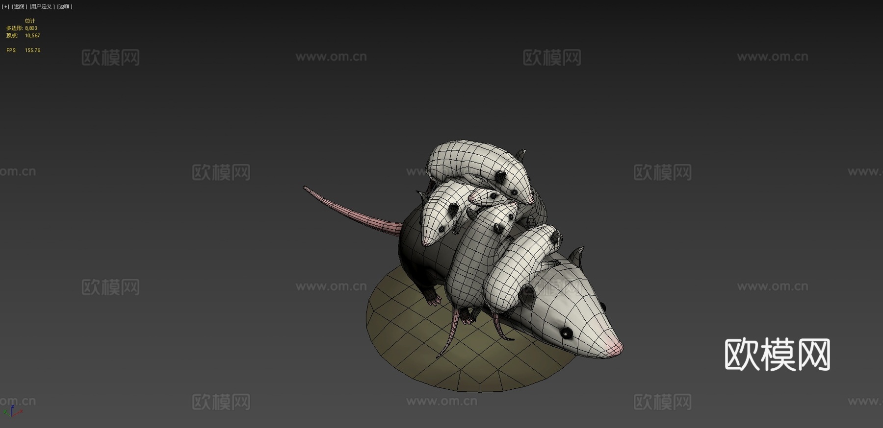 负鼠妈妈3d模型