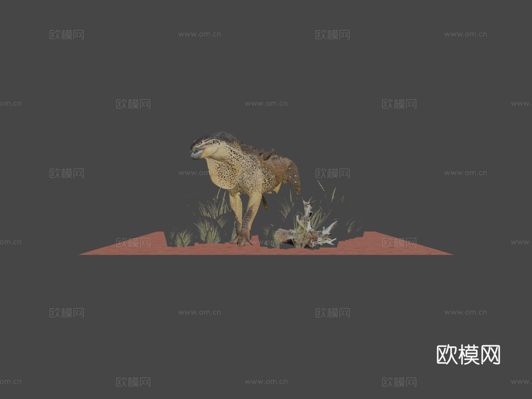 猫蜥蜴3d模型